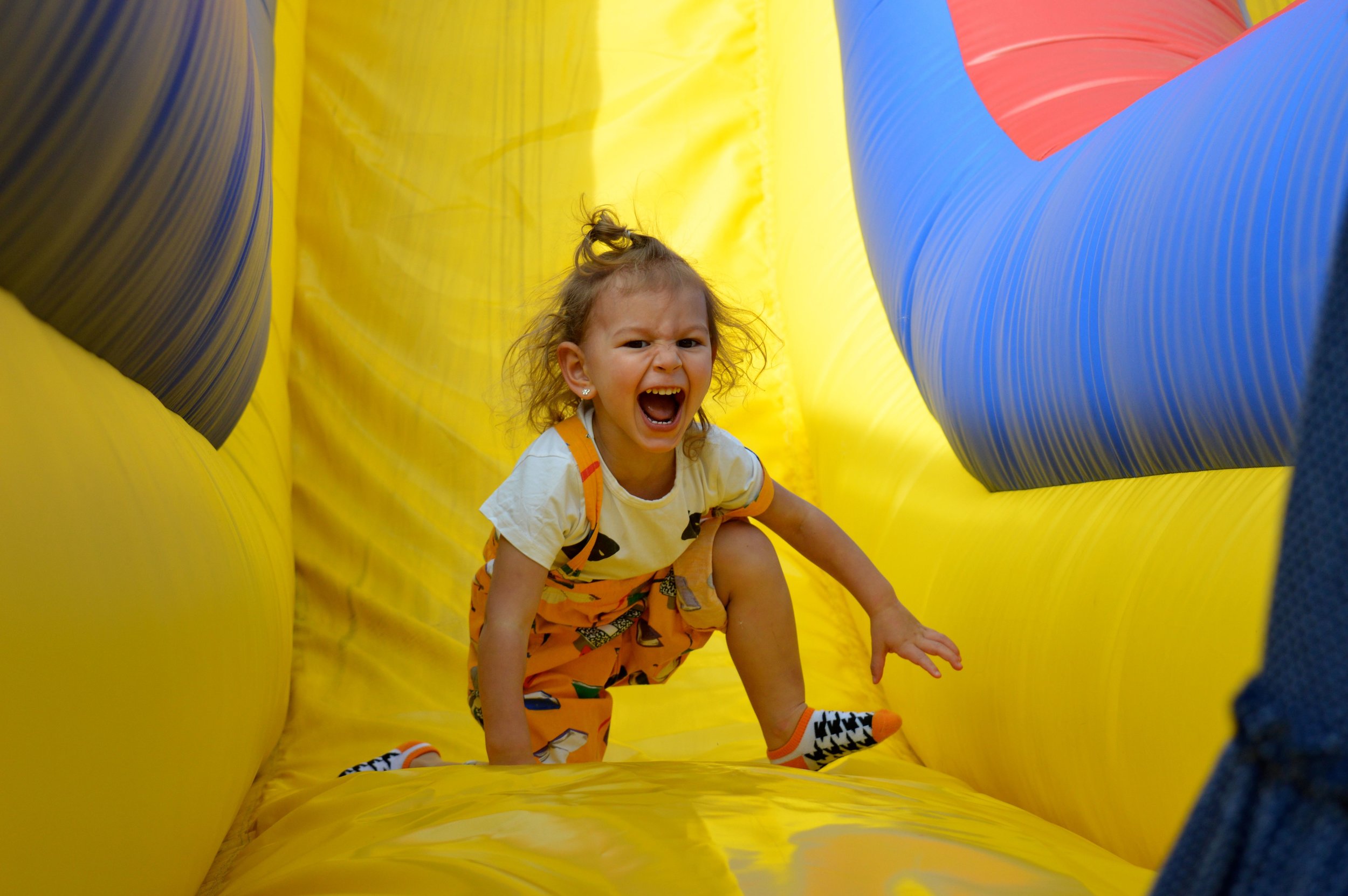 Nick's Garden Center Fall Festival 2017 4.jpg
