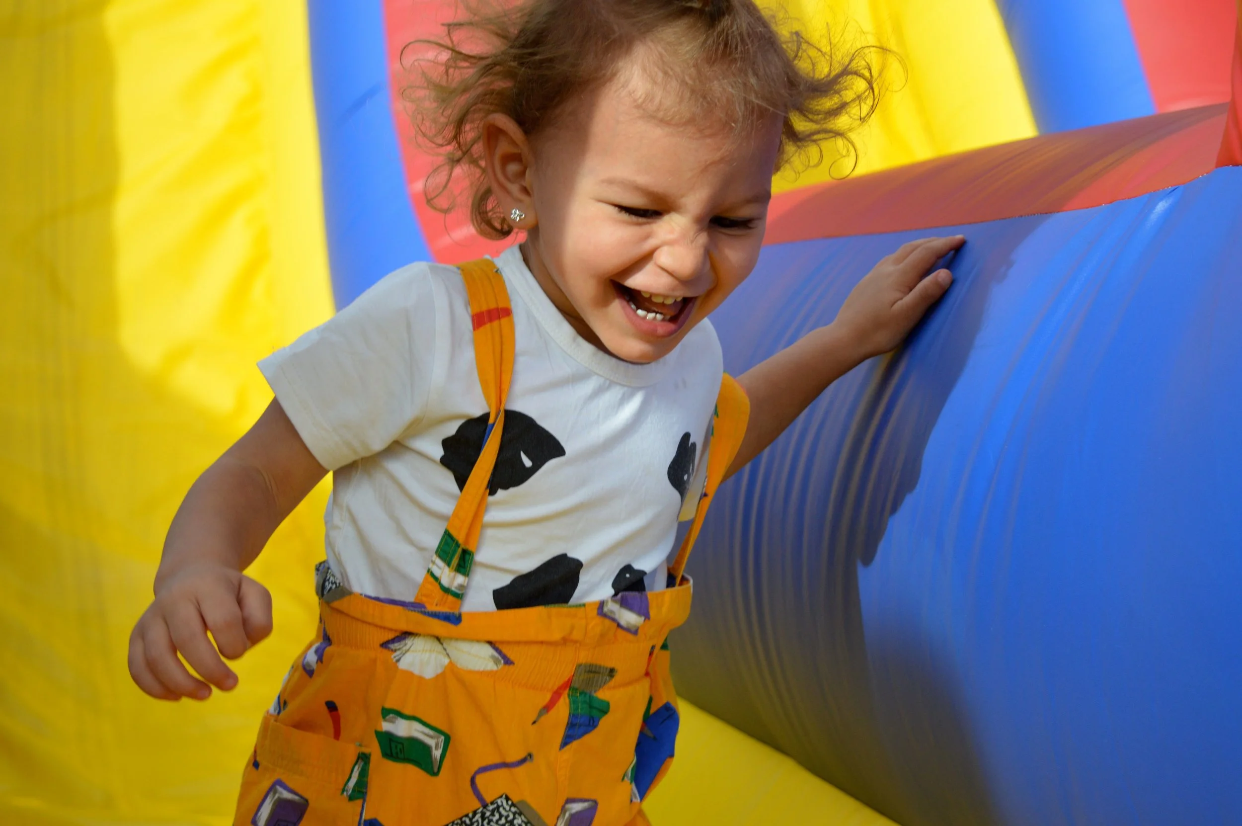 Nick's Garden Center Fall Festival 2017 5.jpg
