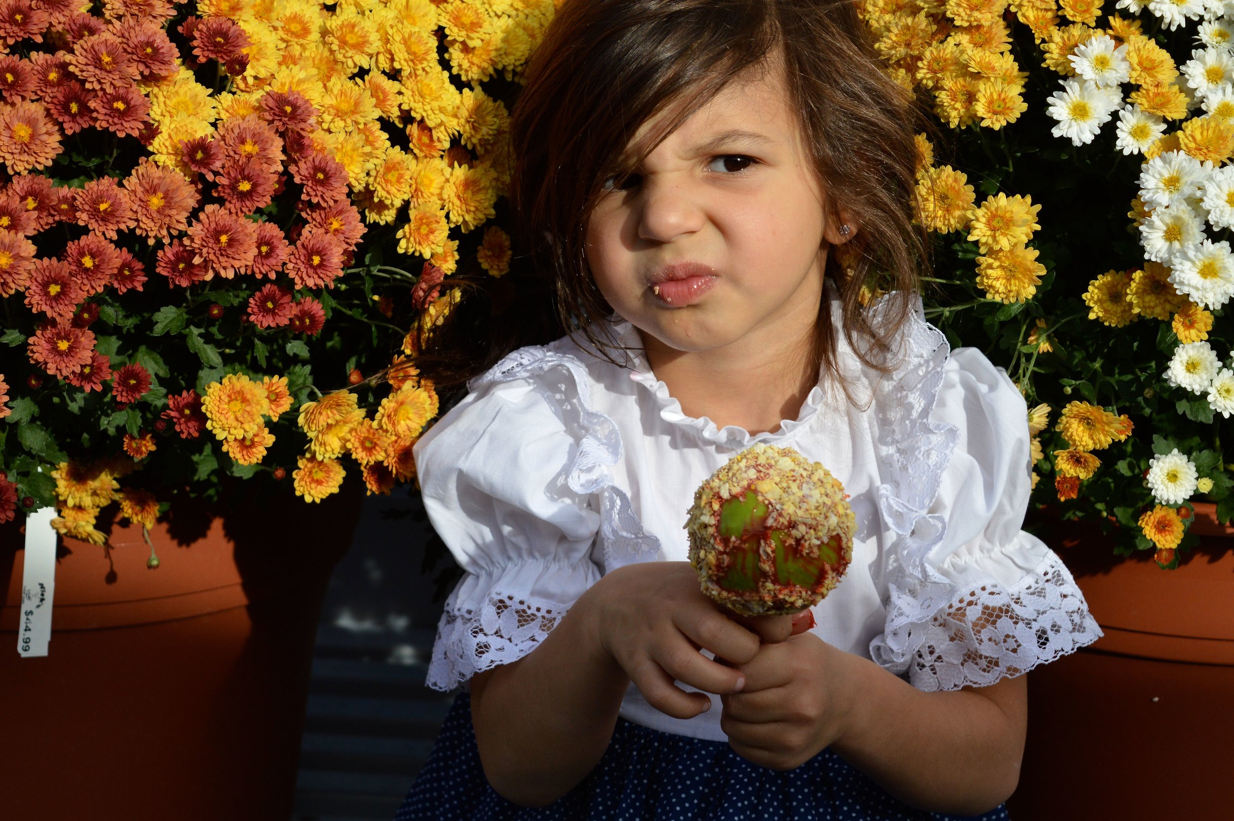 Nick's Garden Center Fall Festival 2017 9.jpg