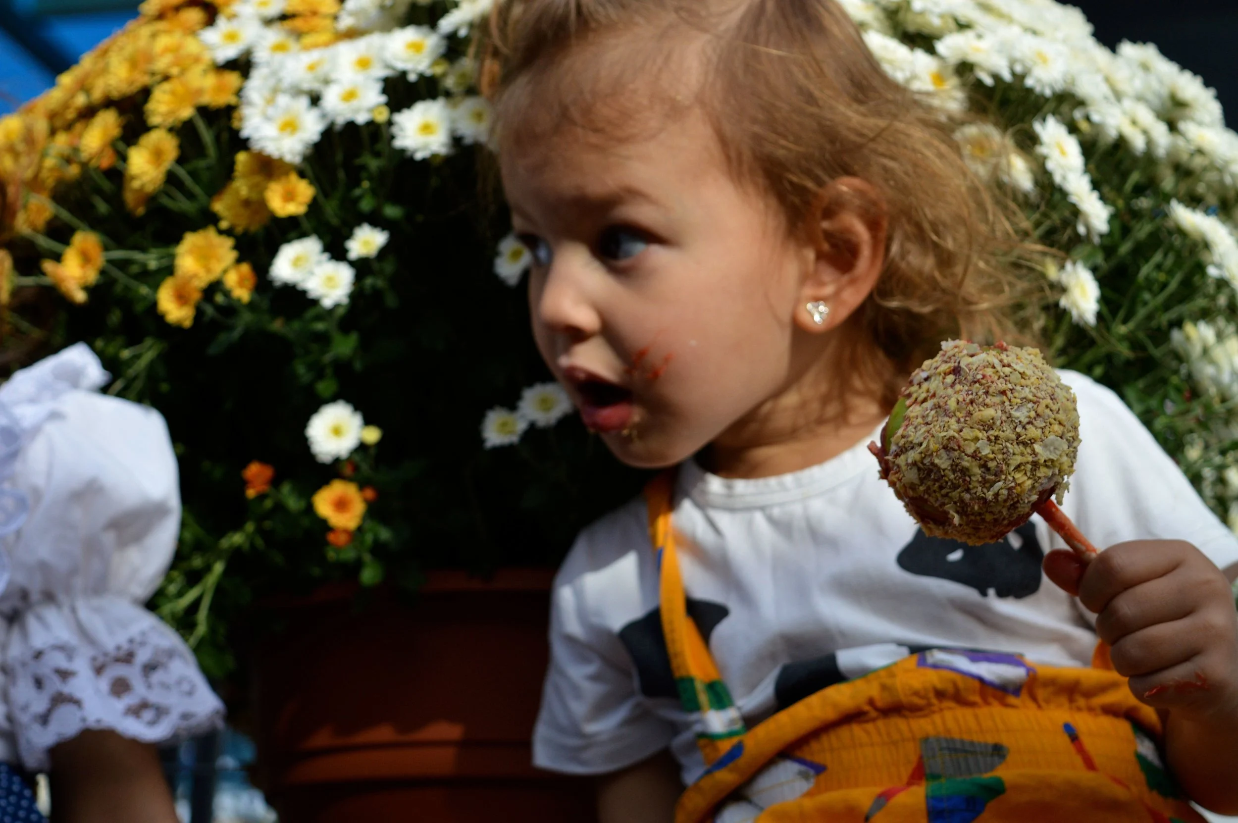 Nick's Garden Center Fall Festival 2017 10.jpg