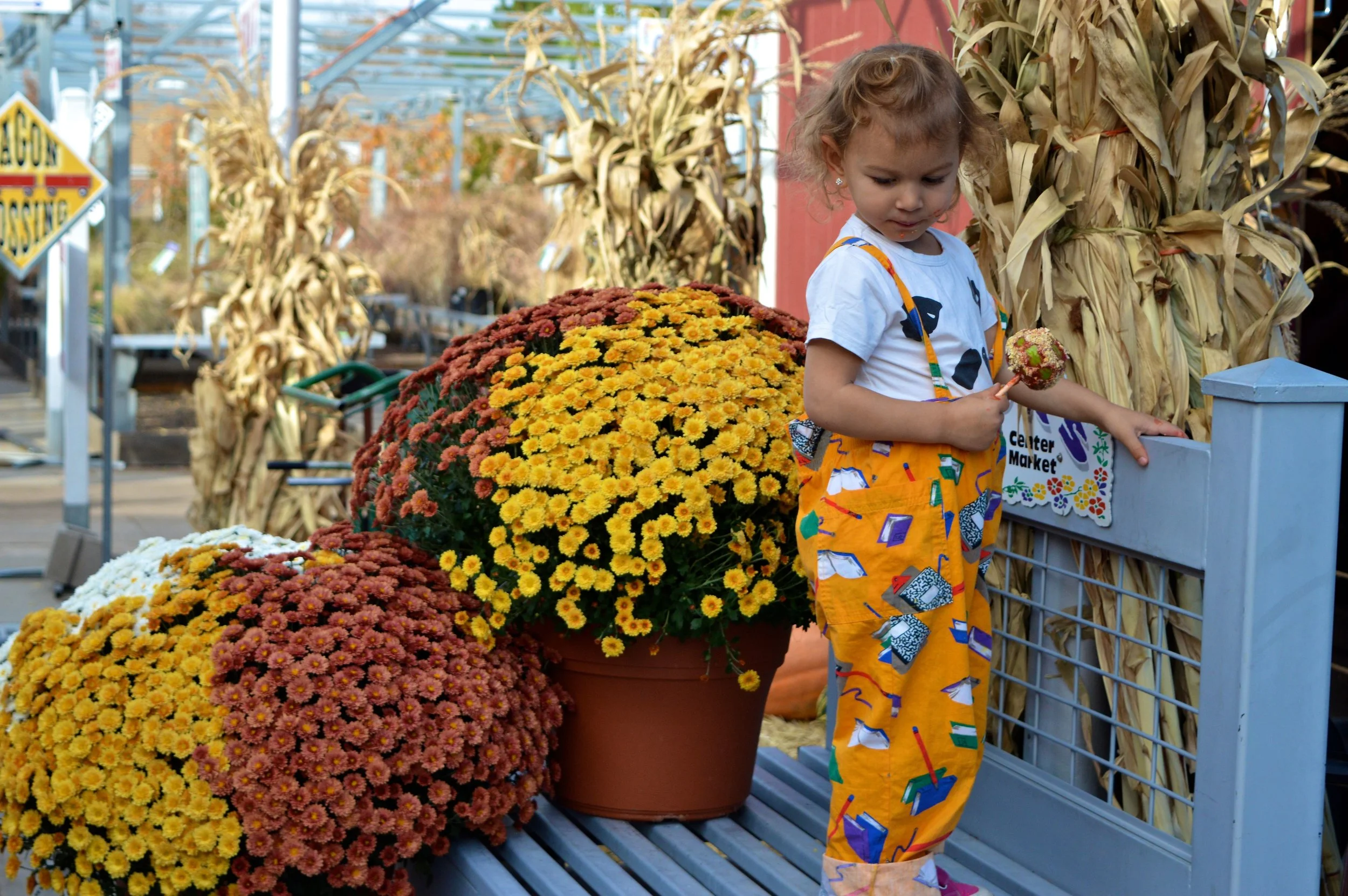 Nick's Garden Center Fall Festival 2017 11.jpg