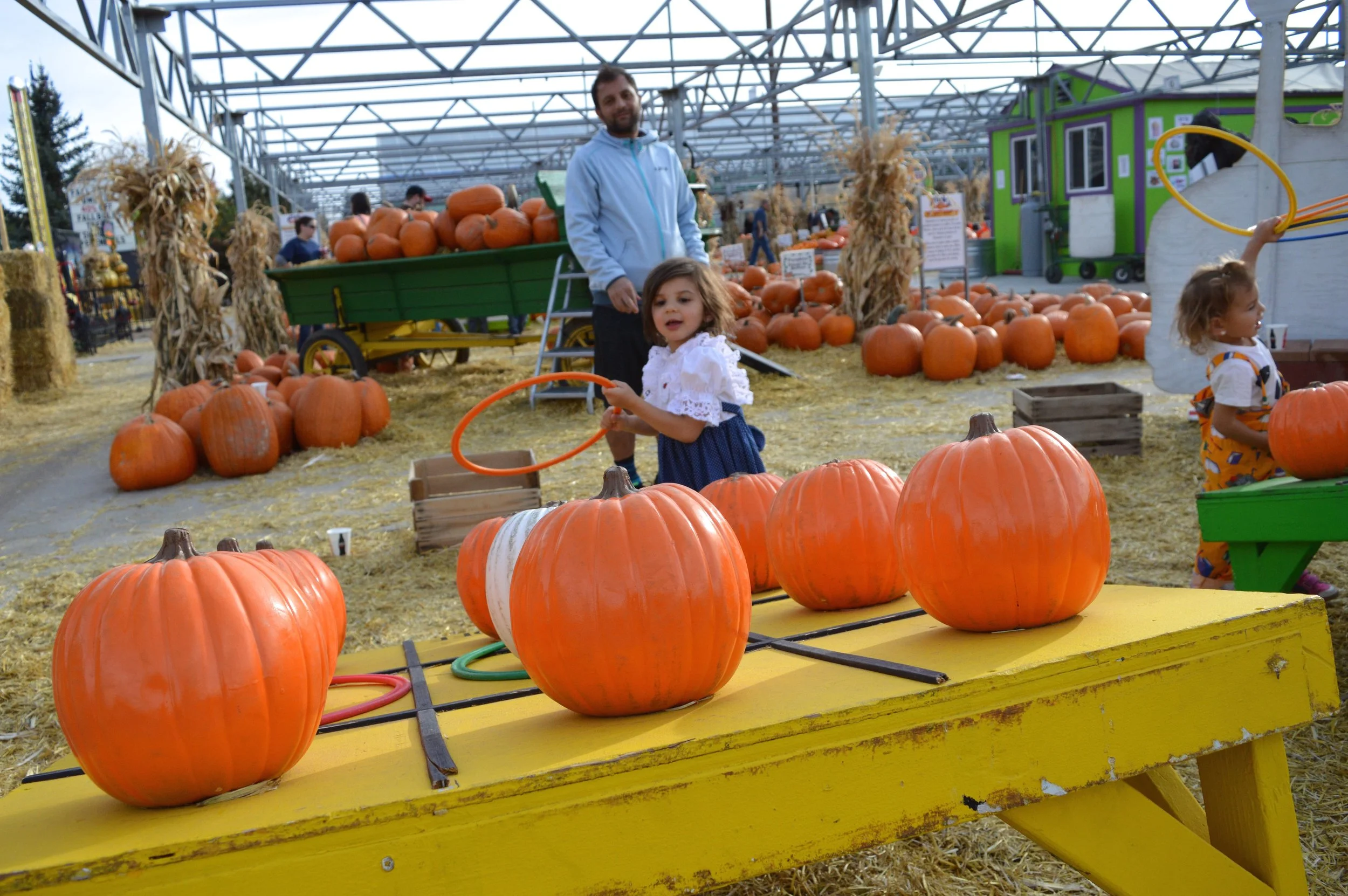 Nick's Garden Center Fall Festival 2017 18.jpg