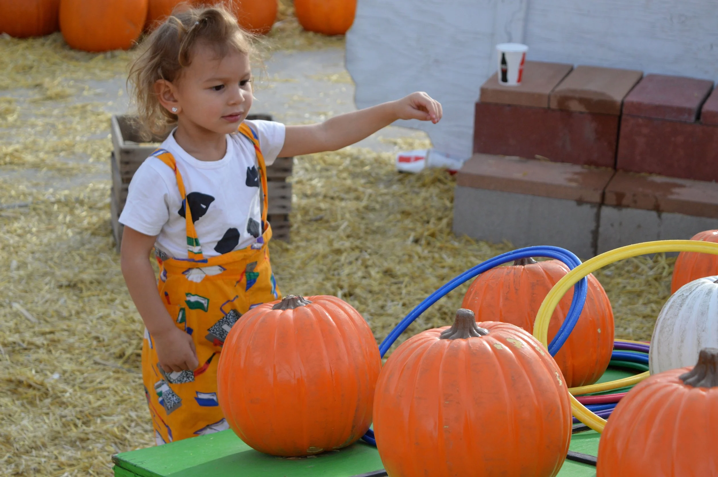 Nick's Garden Center Fall Festival 2017 19.jpg