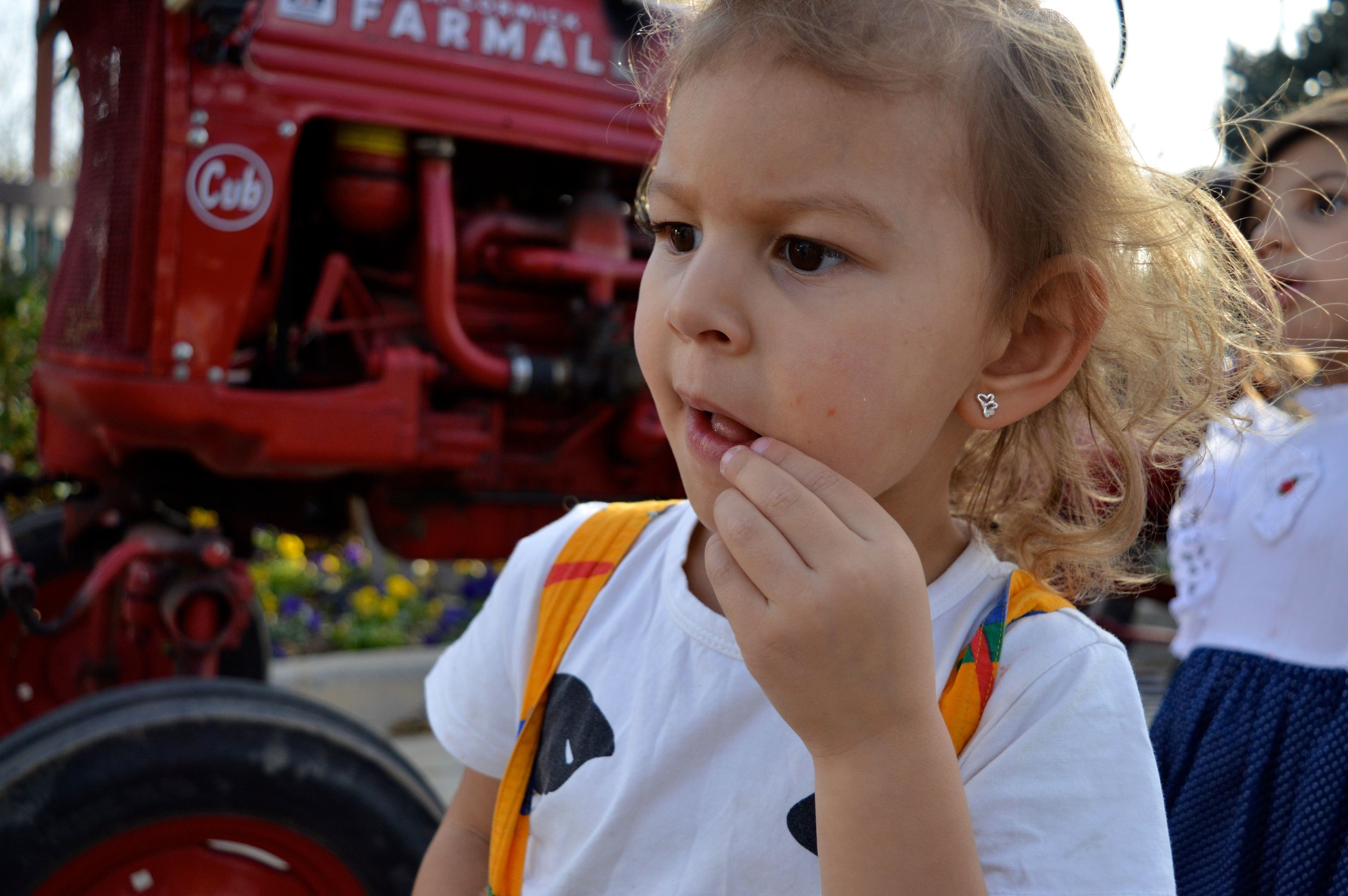 Nick's Garden Center Fall Festival 2017 24.jpg