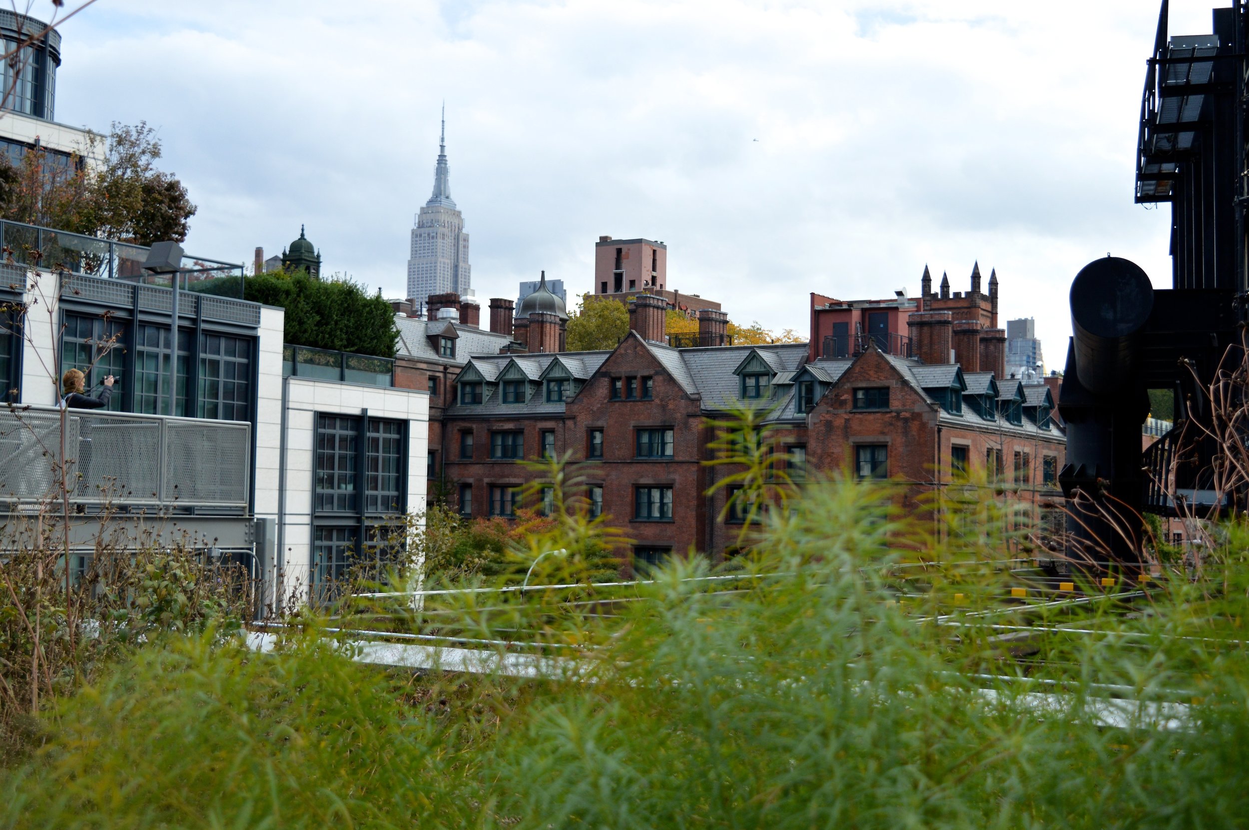 New York City October 2017 High Line 4.jpg
