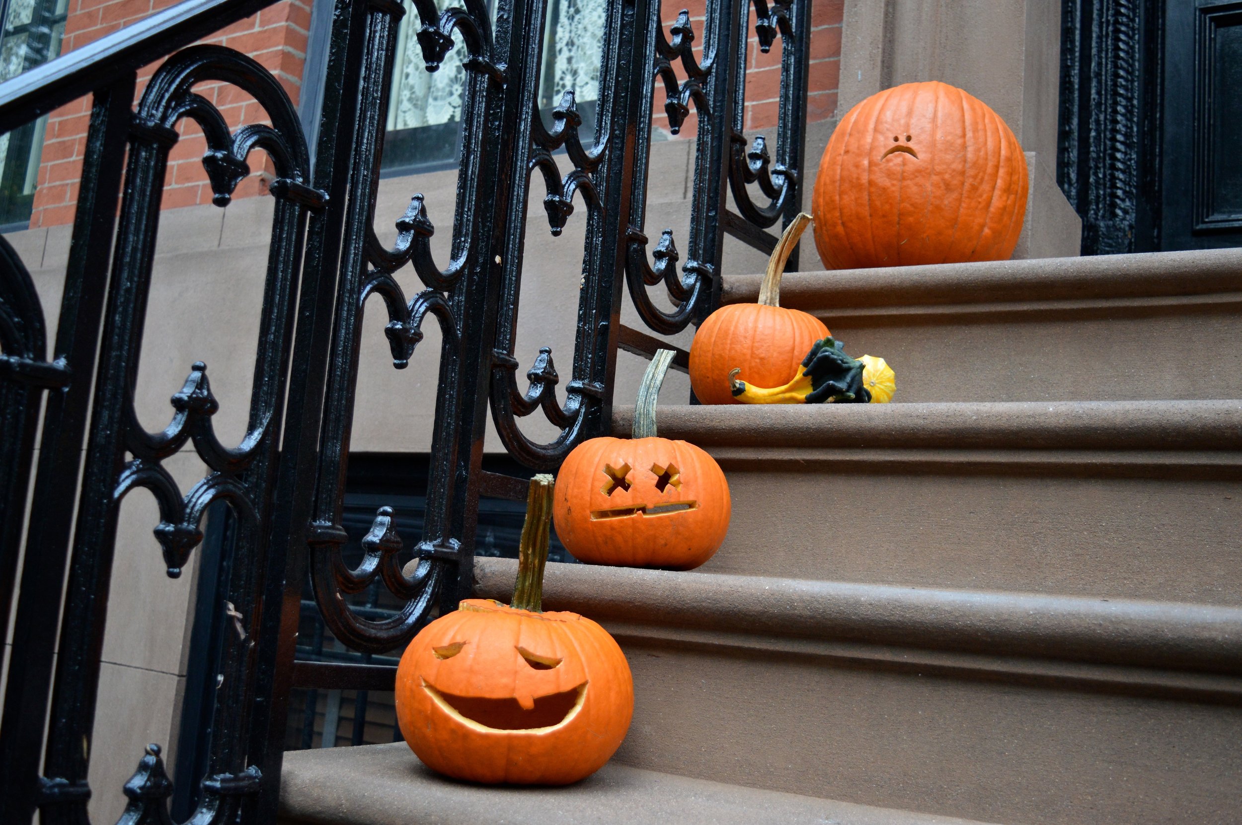 New York City October 2017 High Line 9.jpg