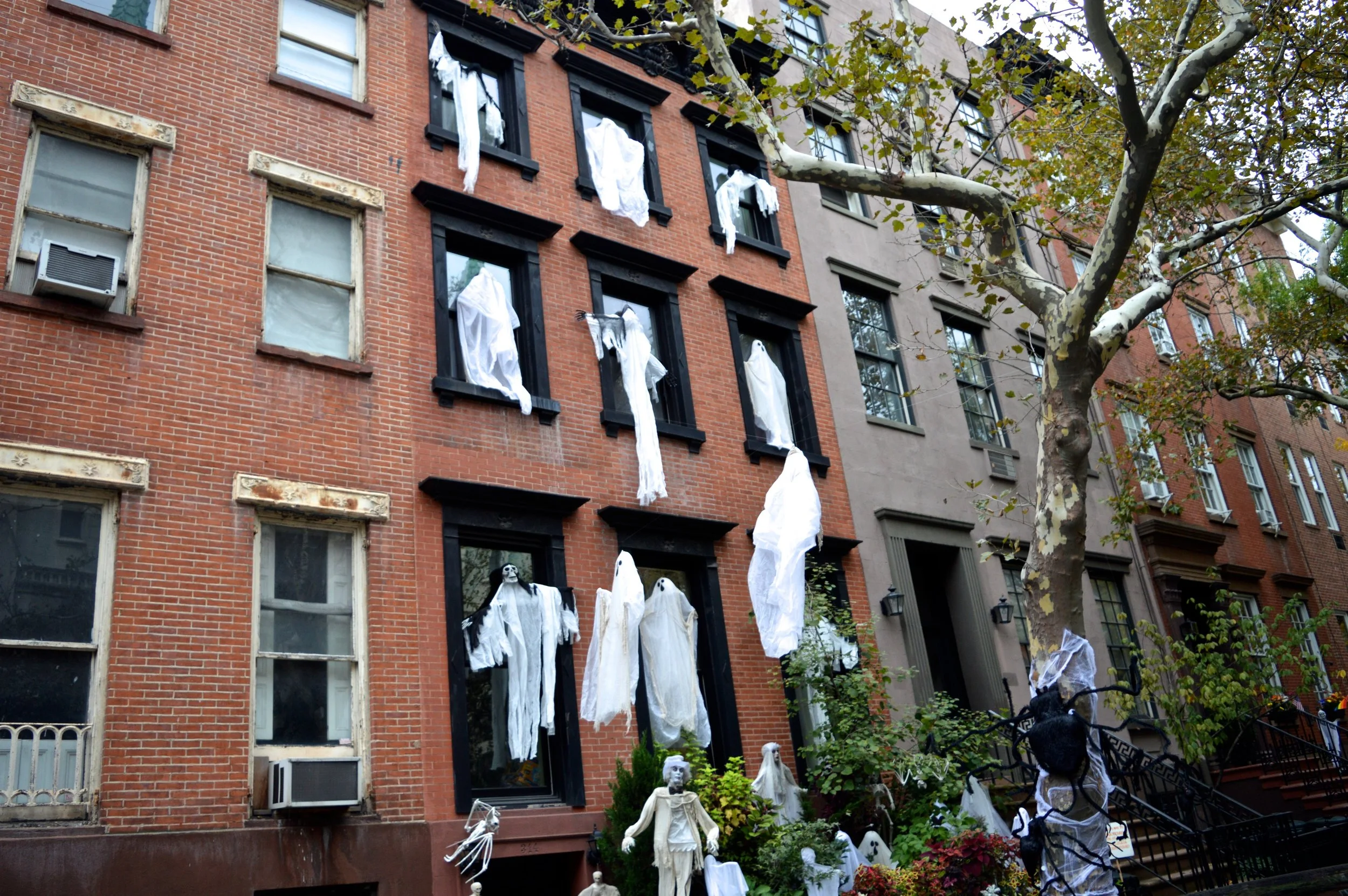 New York City October 2017 High Line 23.jpg