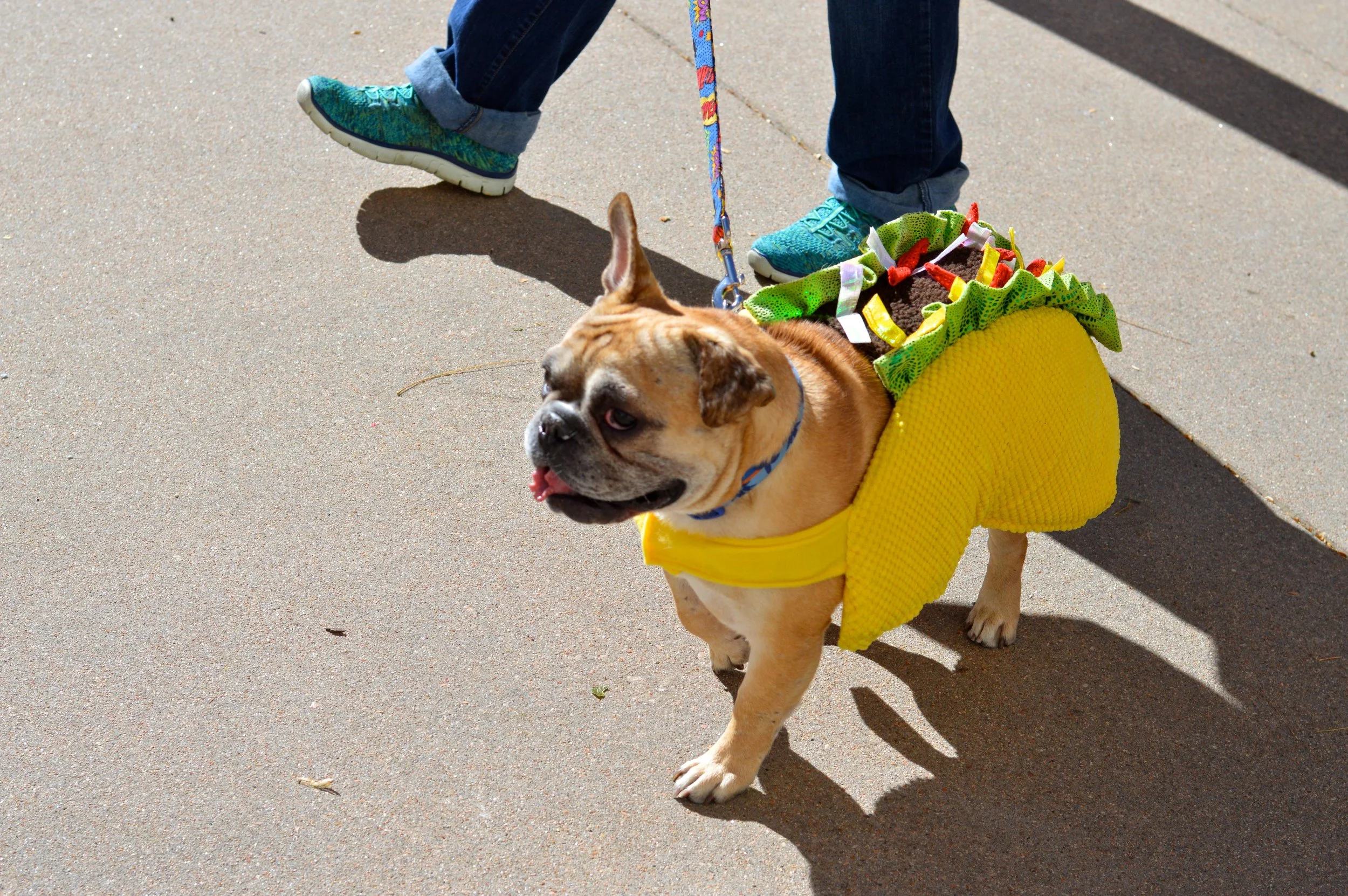 Belmar Boo Halloween 2017 6.jpg