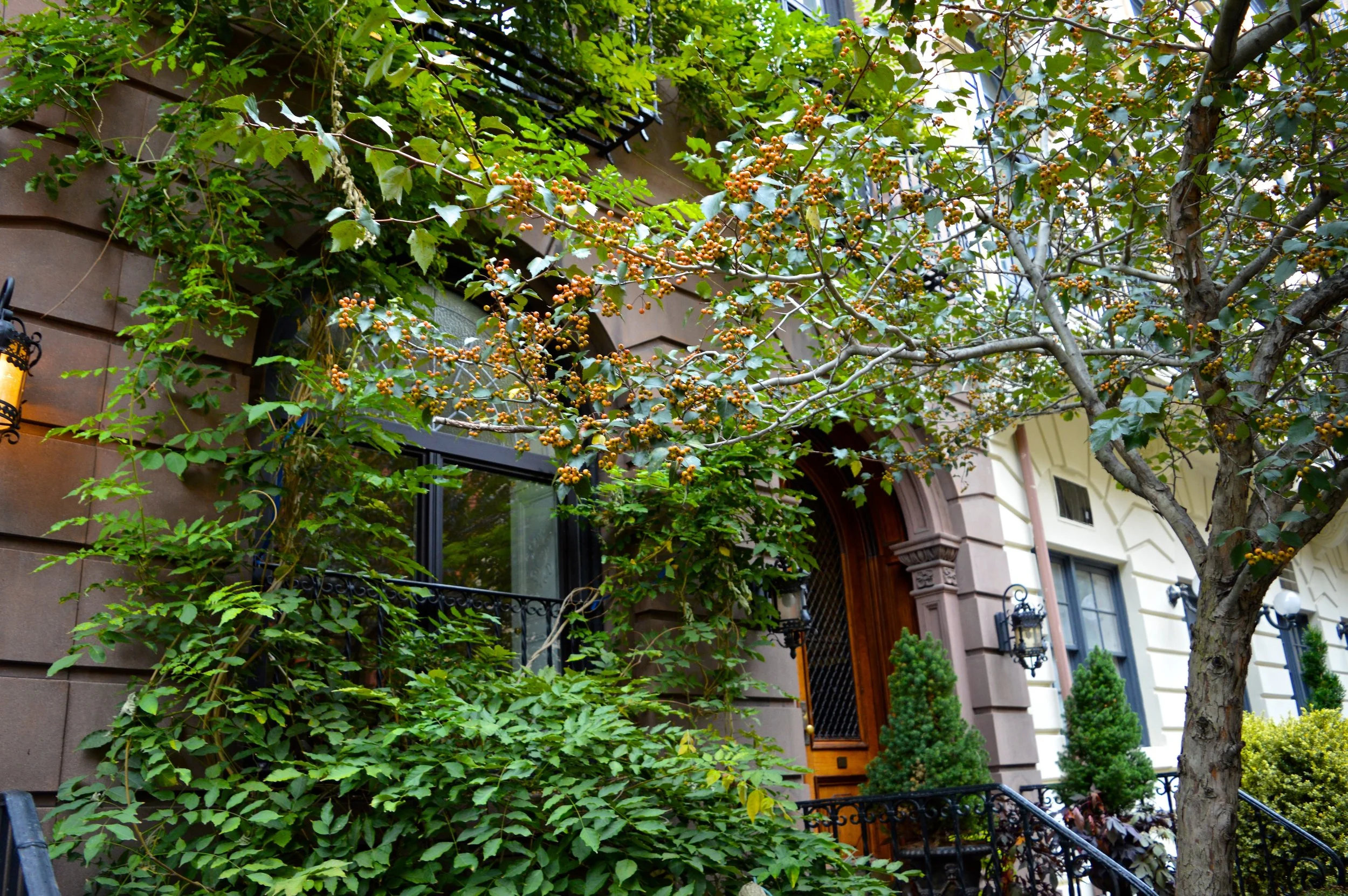 New York October 2017 Walking Tour 16.jpg