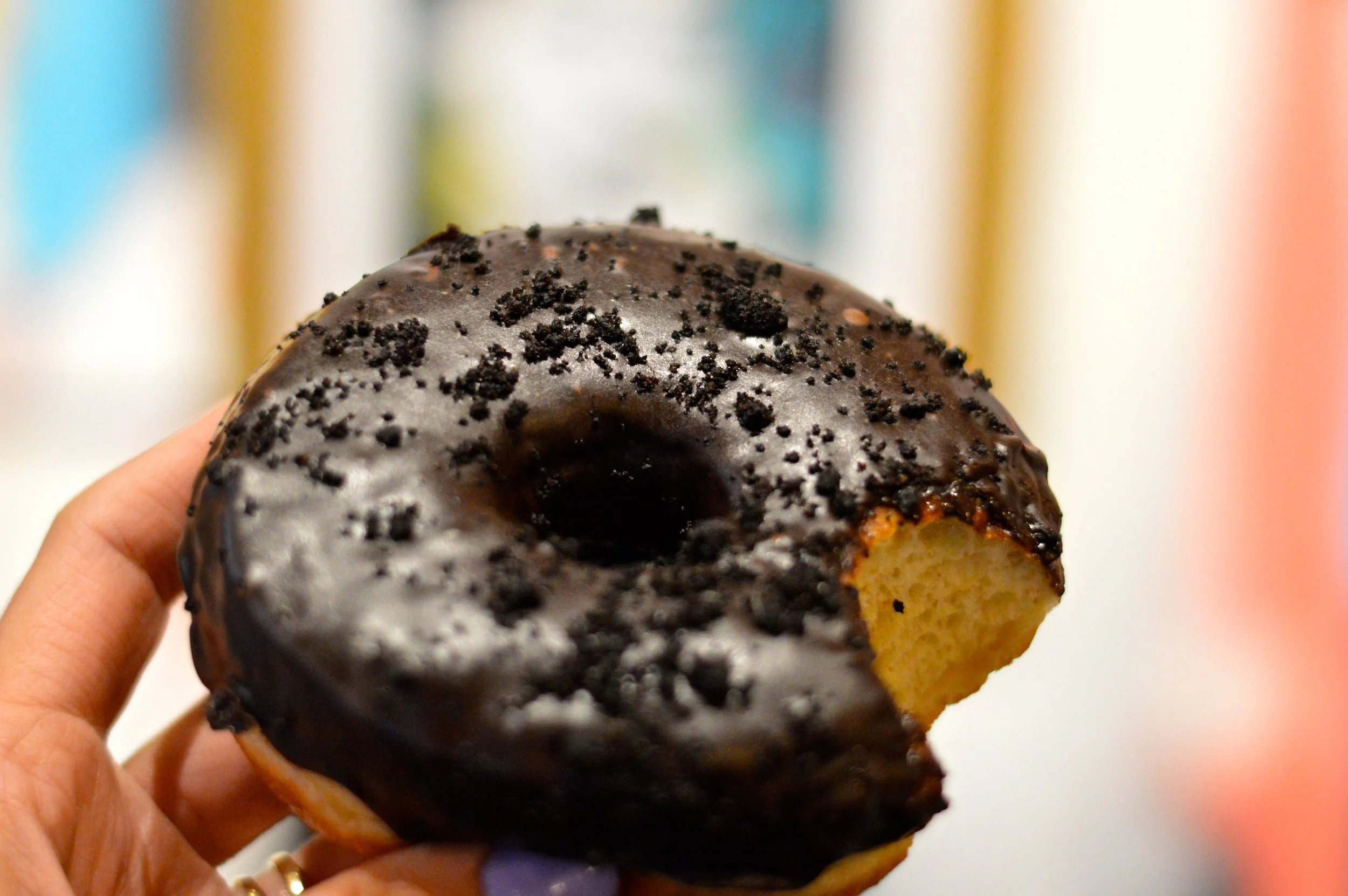 New York October Trip Doughnut Project 1.jpg
