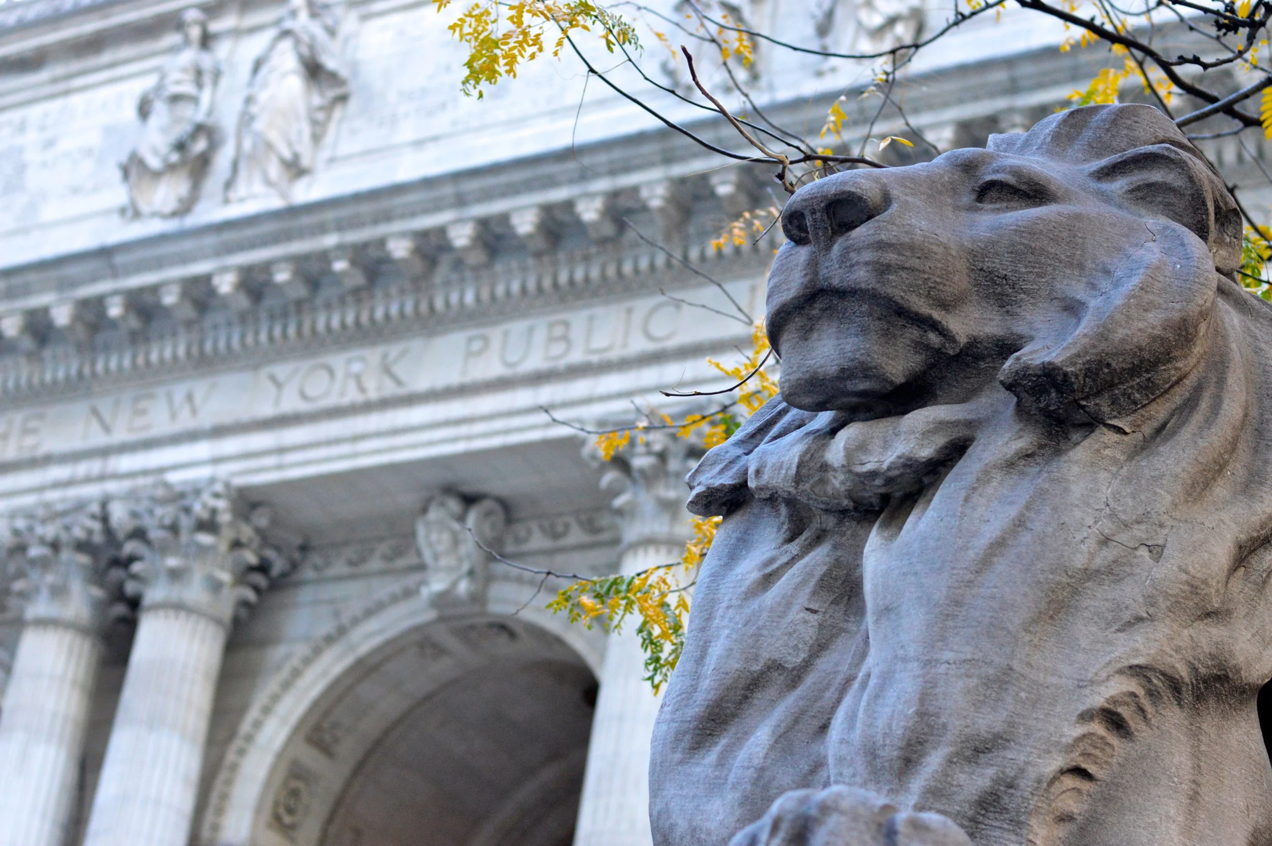 Bryant Park New York Public Library 10.jpg