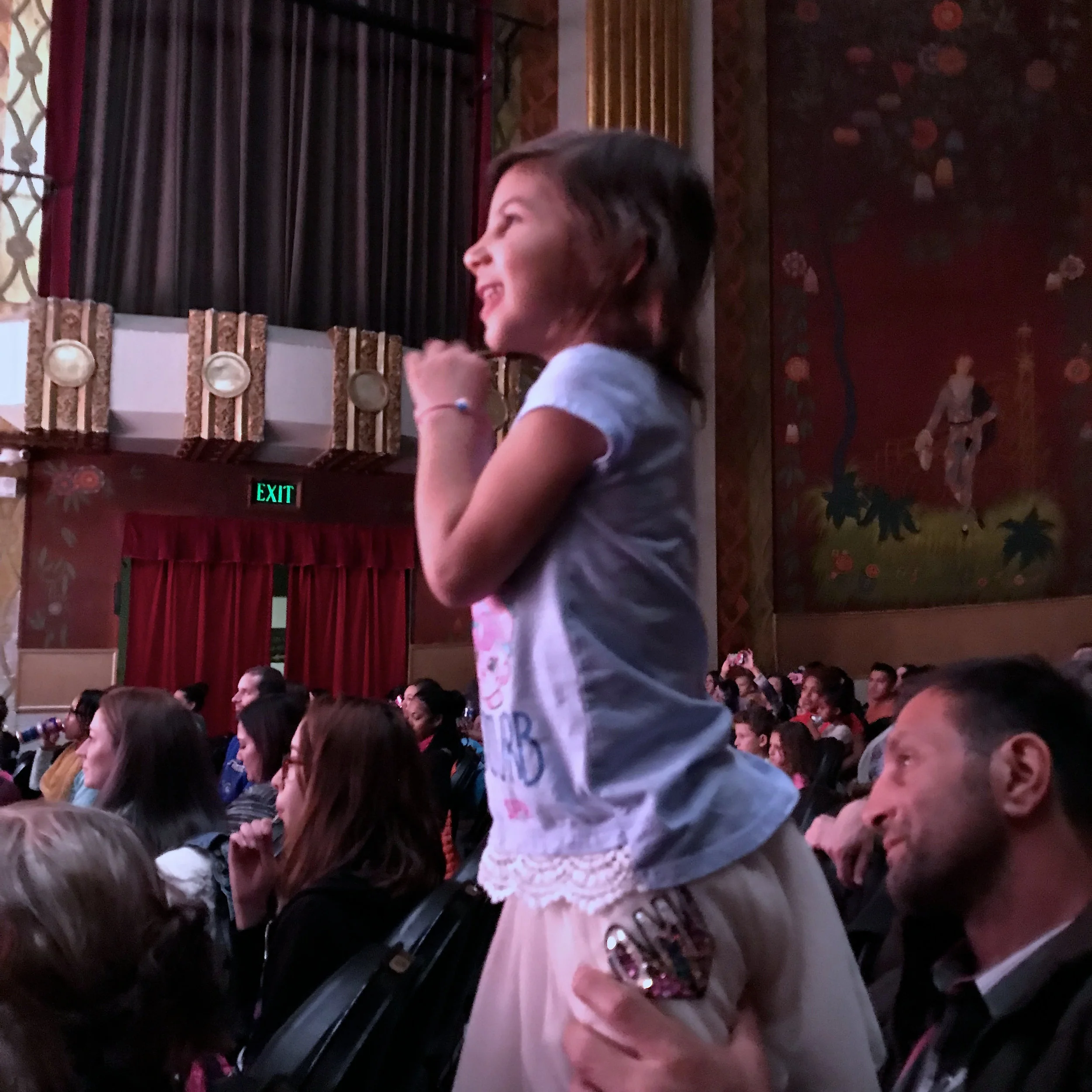 Shopkins Live Denver Tour 2017 2.jpg