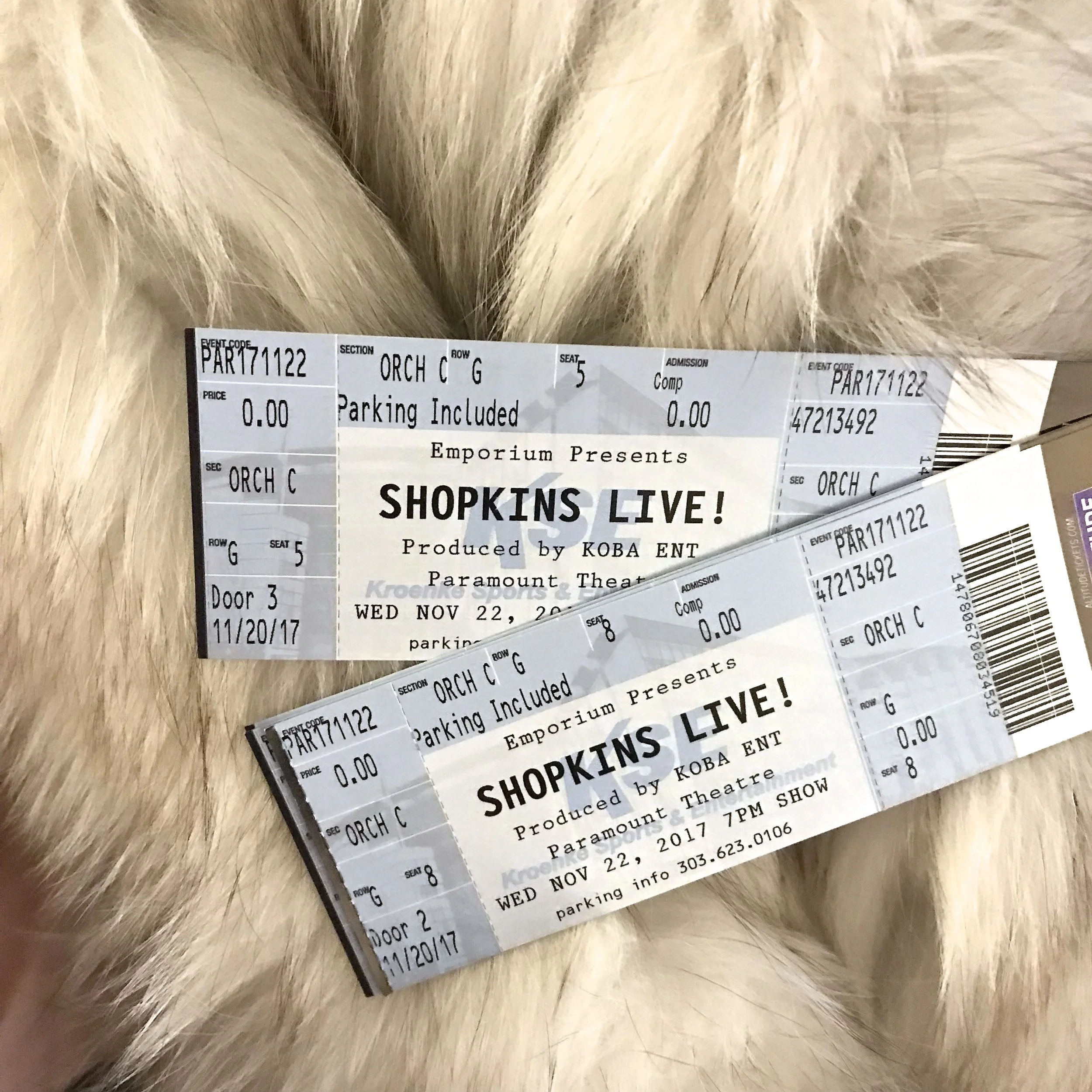 Shopkins Live Denver Tour 2017 9.jpg
