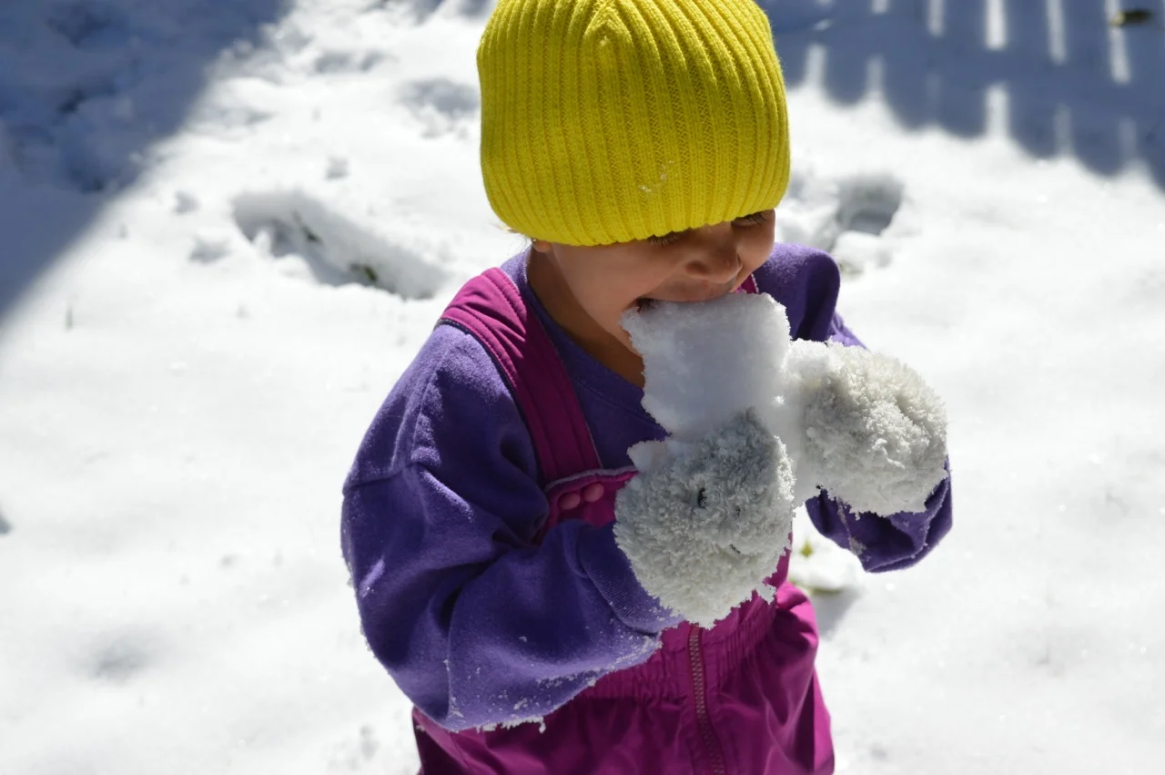 Snow in Colorado 1.jpg
