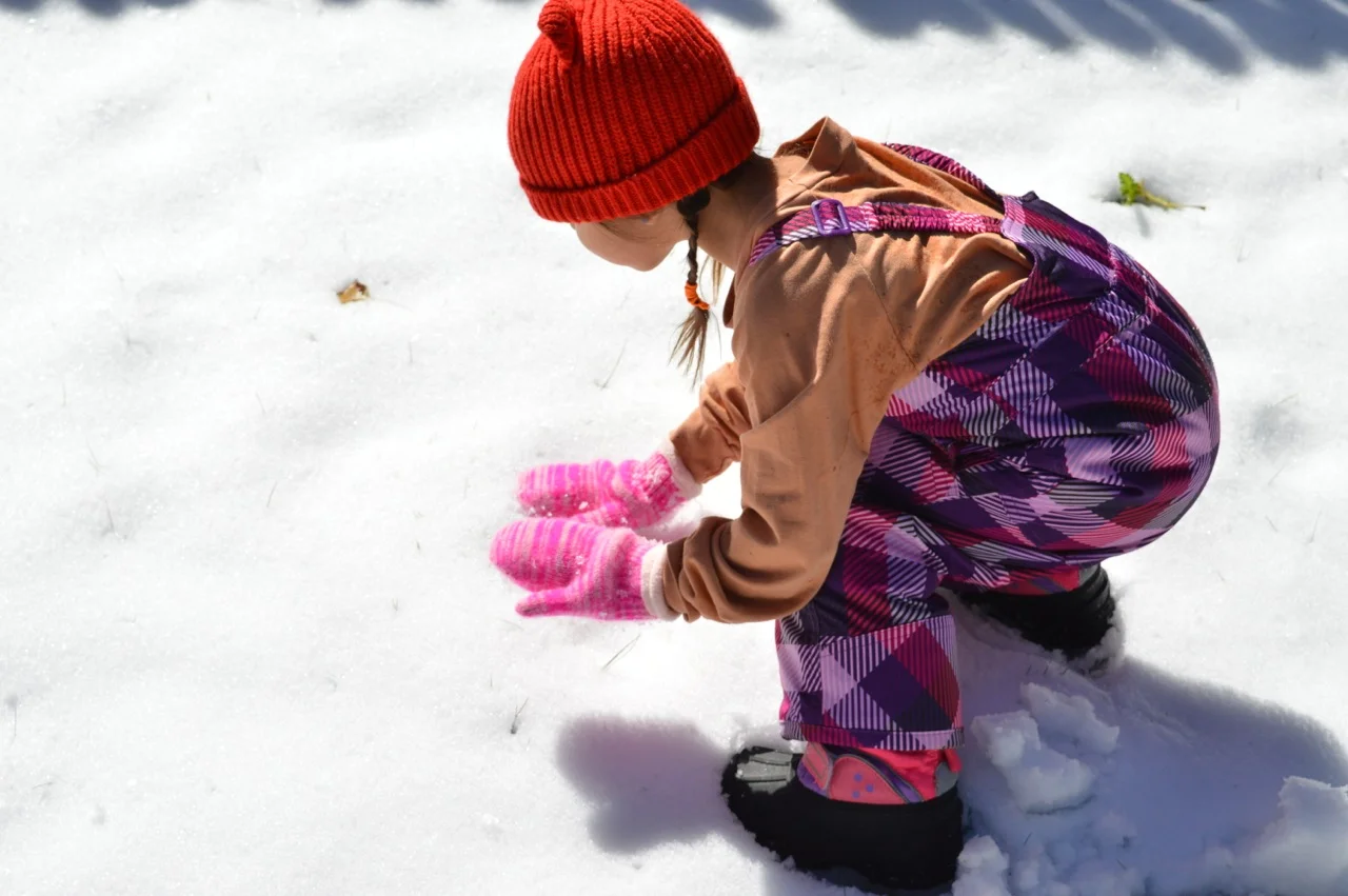 Snow in Colorado 2.jpg