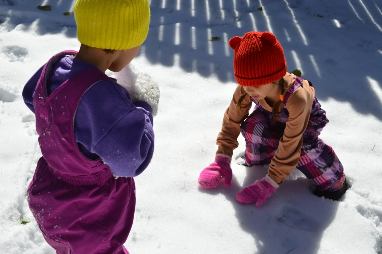 Snow in Colorado 3.jpg