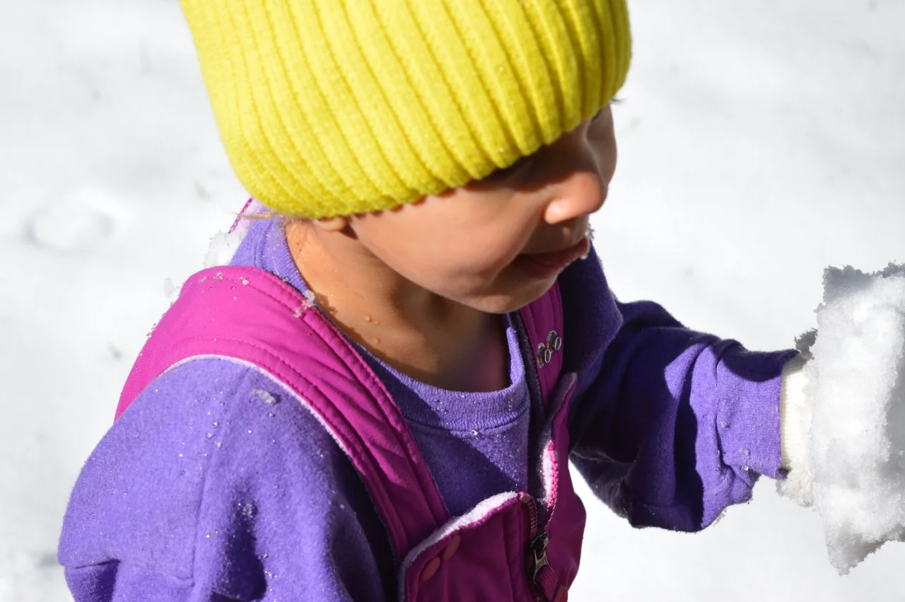 Snow in Colorado 11.jpg