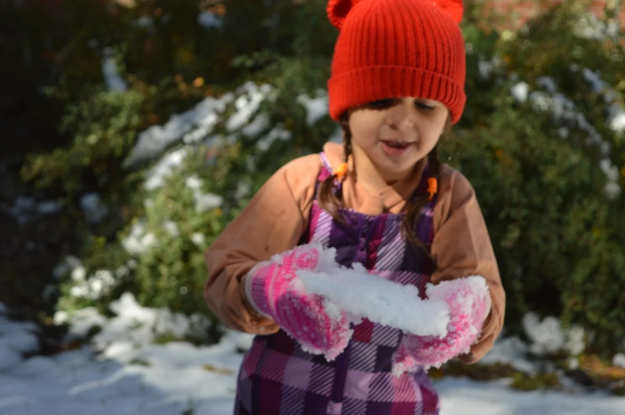 Snow in Colorado 22.jpg