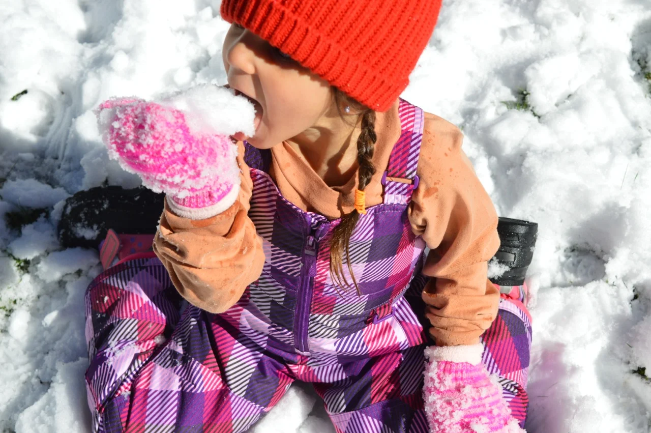 Snow in Colorado 24.jpg