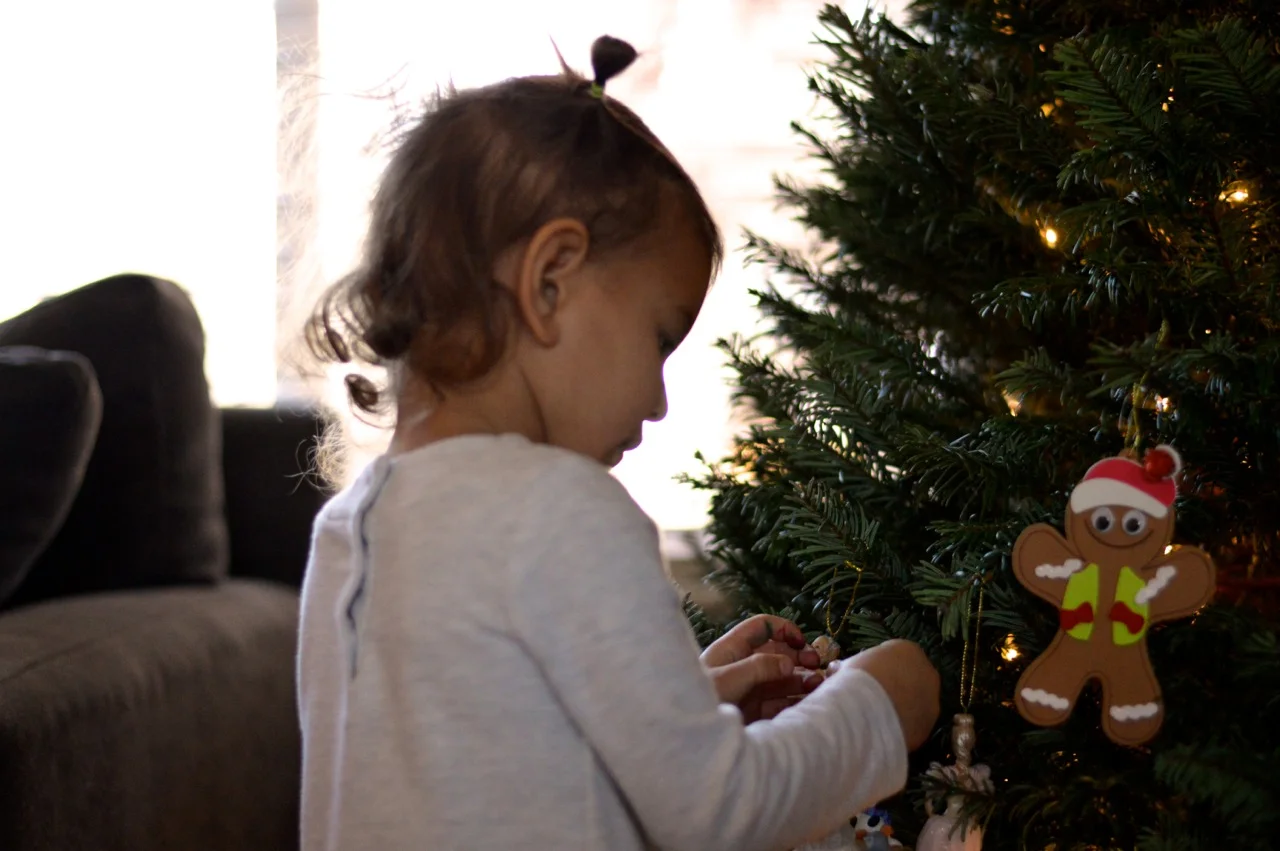 Christmas Decorating Colorado Home 4.jpg