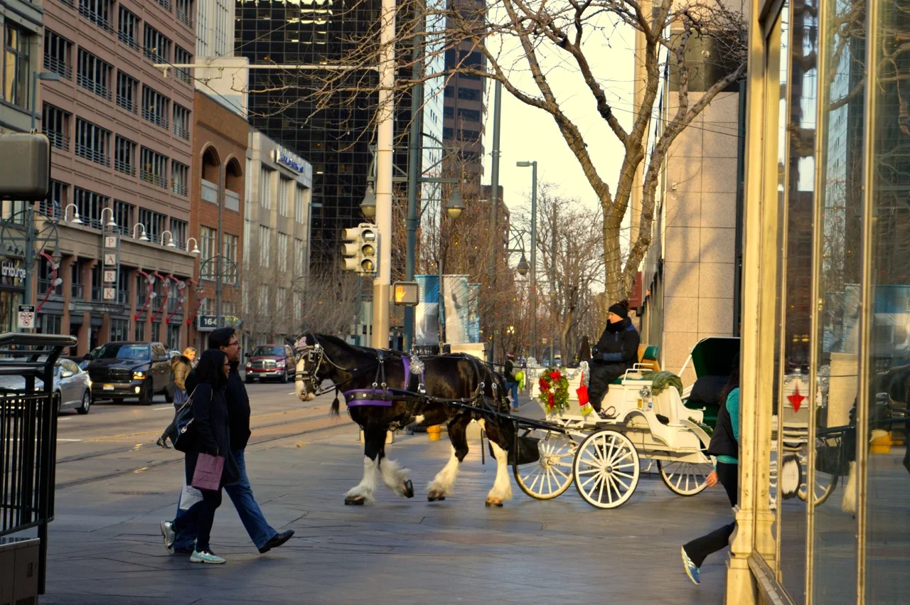 Downtown Denver in December 7.jpg