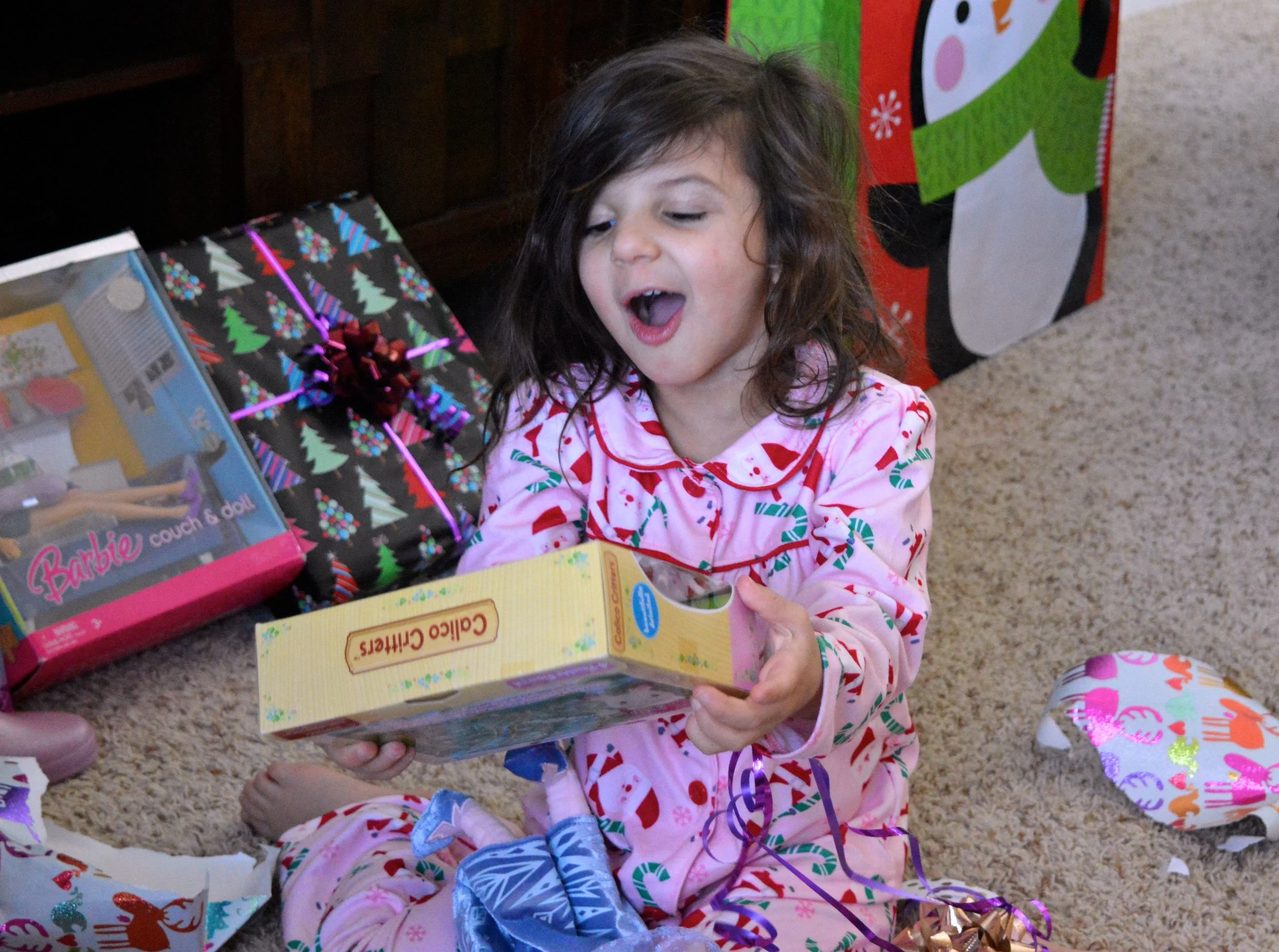 Christmas 2017 27.jpg