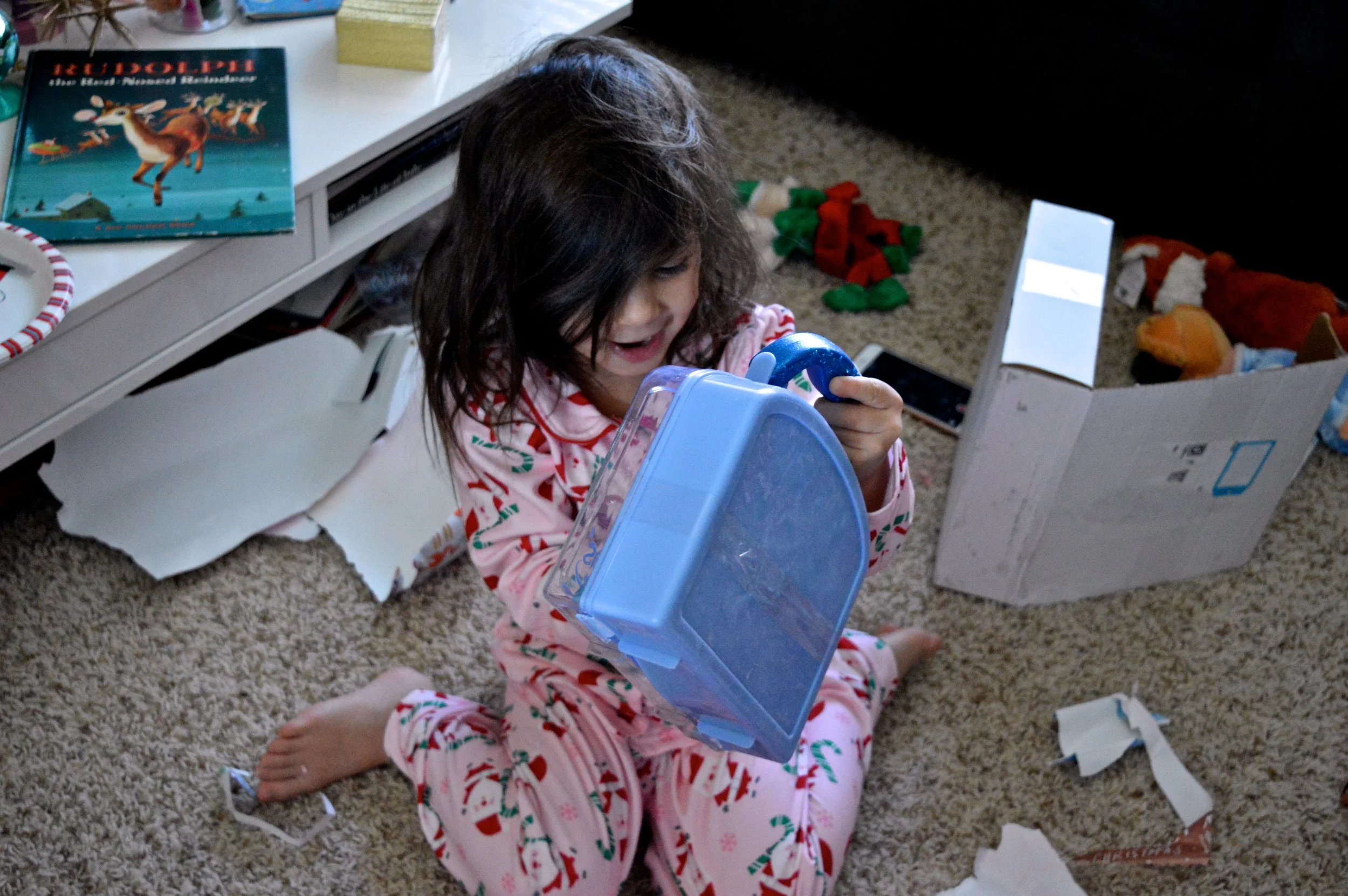 Christmas 2017 37.jpg