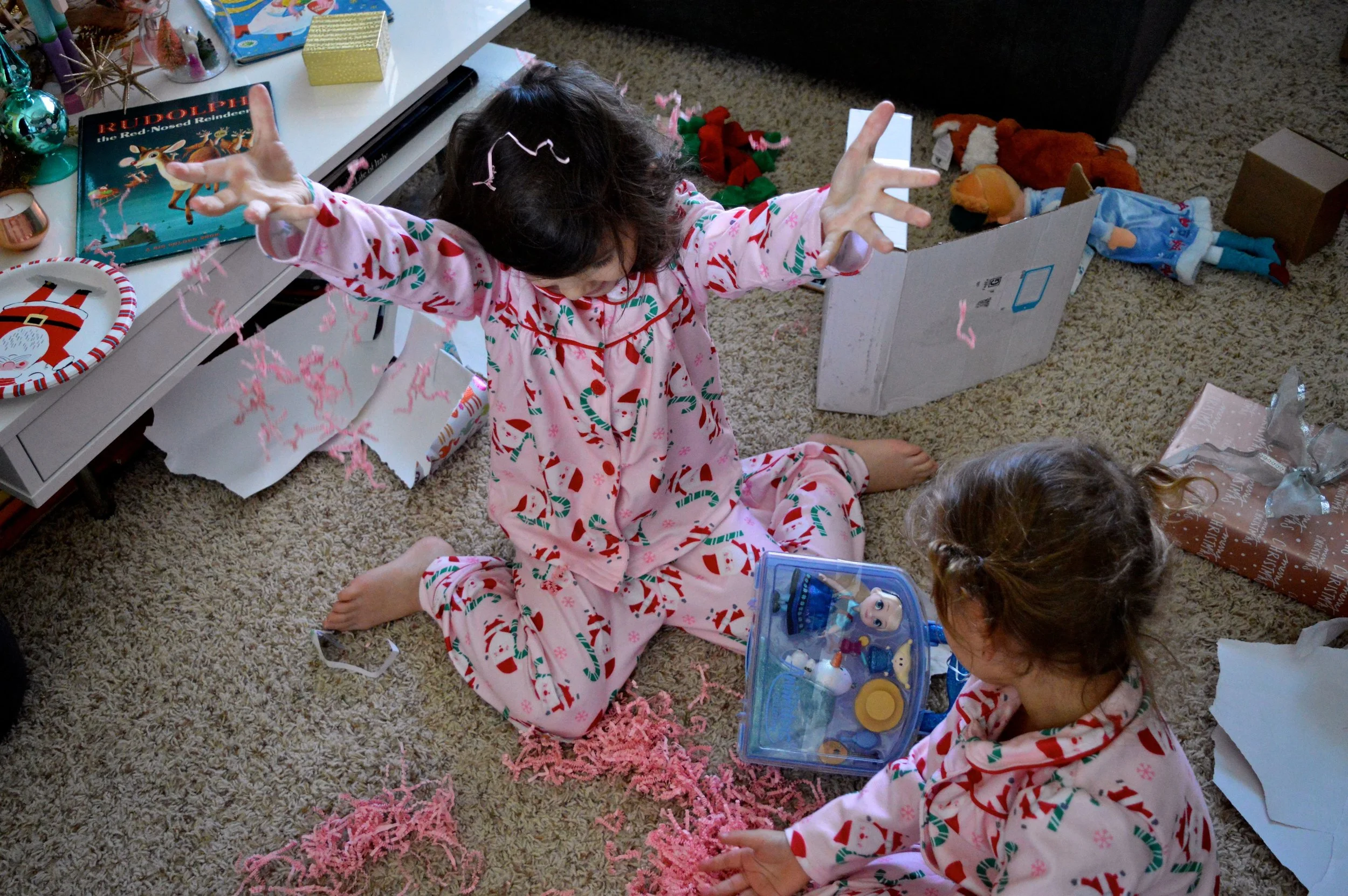 Christmas 2017 39.jpg