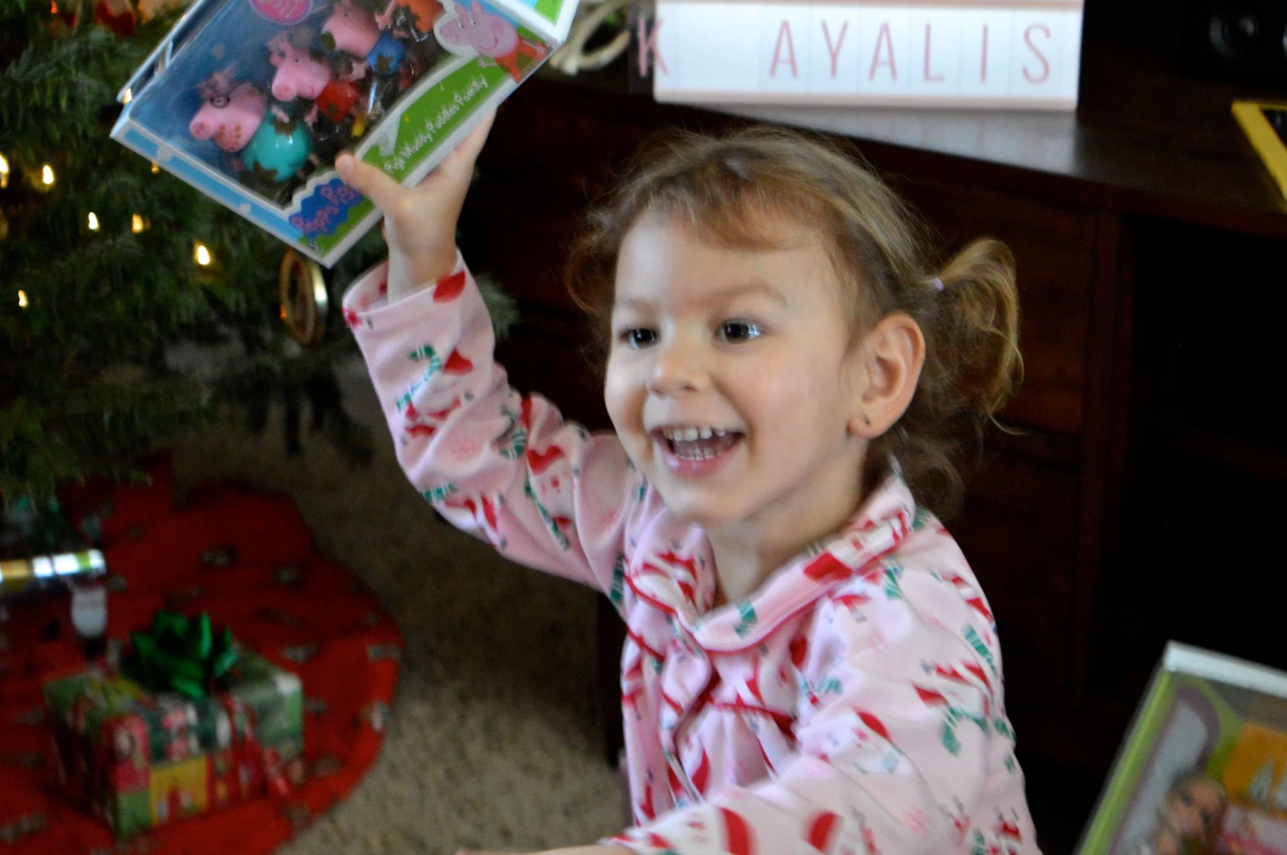Christmas 2017 50.jpg