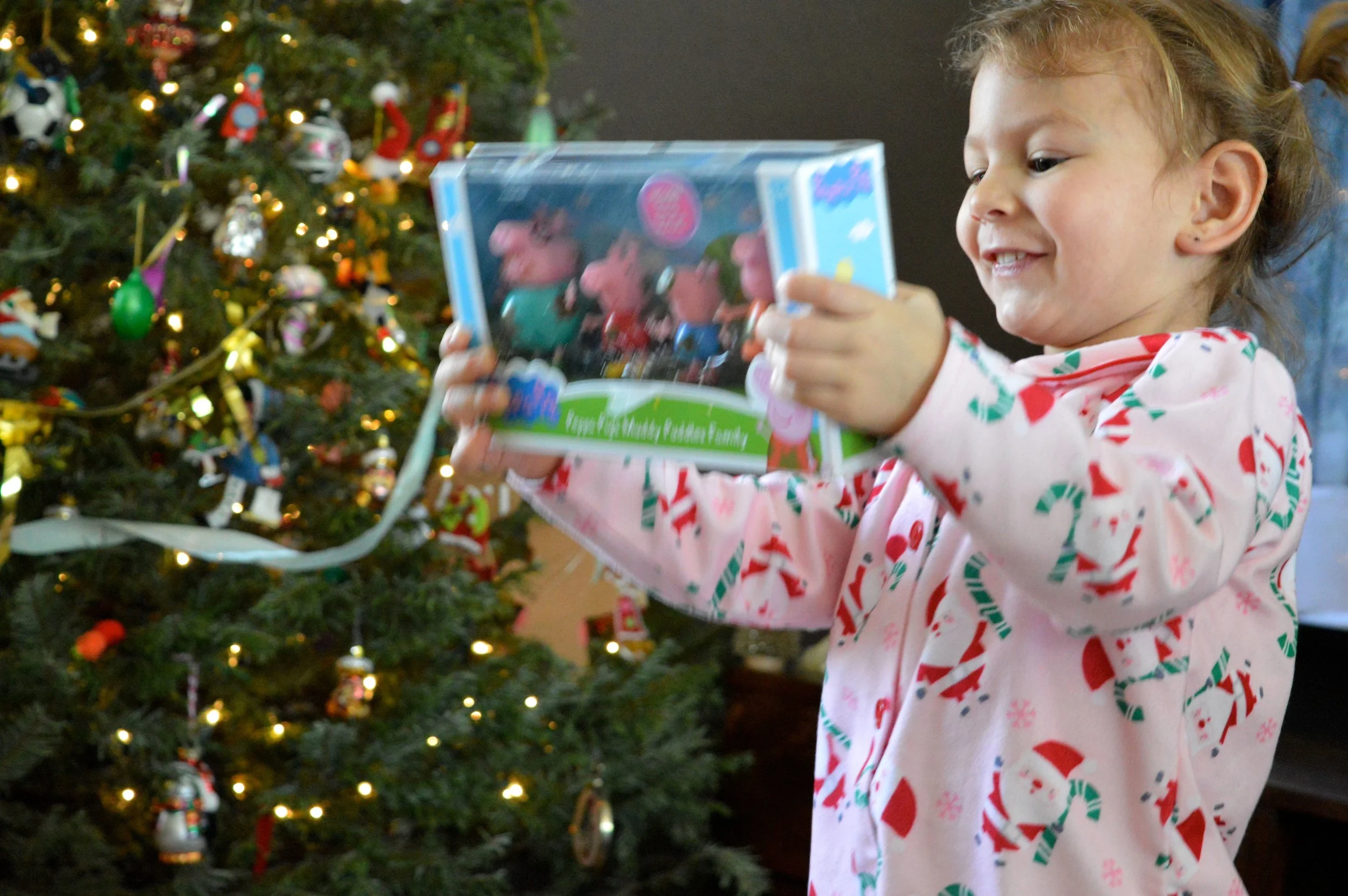 Christmas 2017 51.jpg