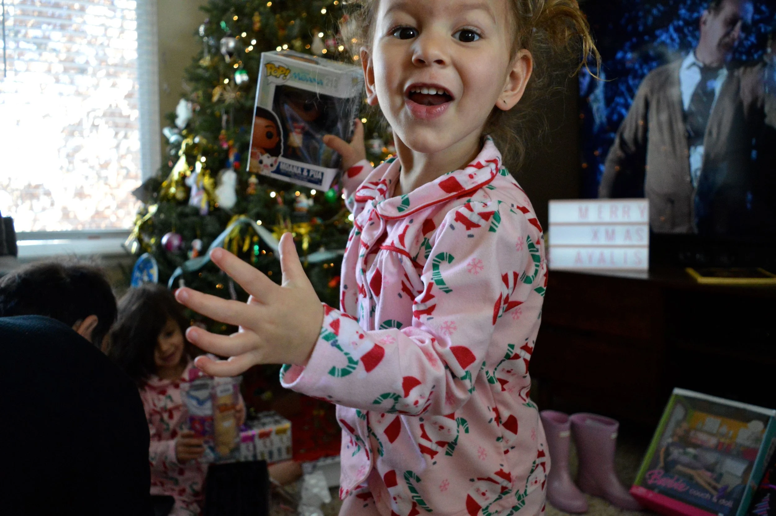 Christmas 2017 54.jpg