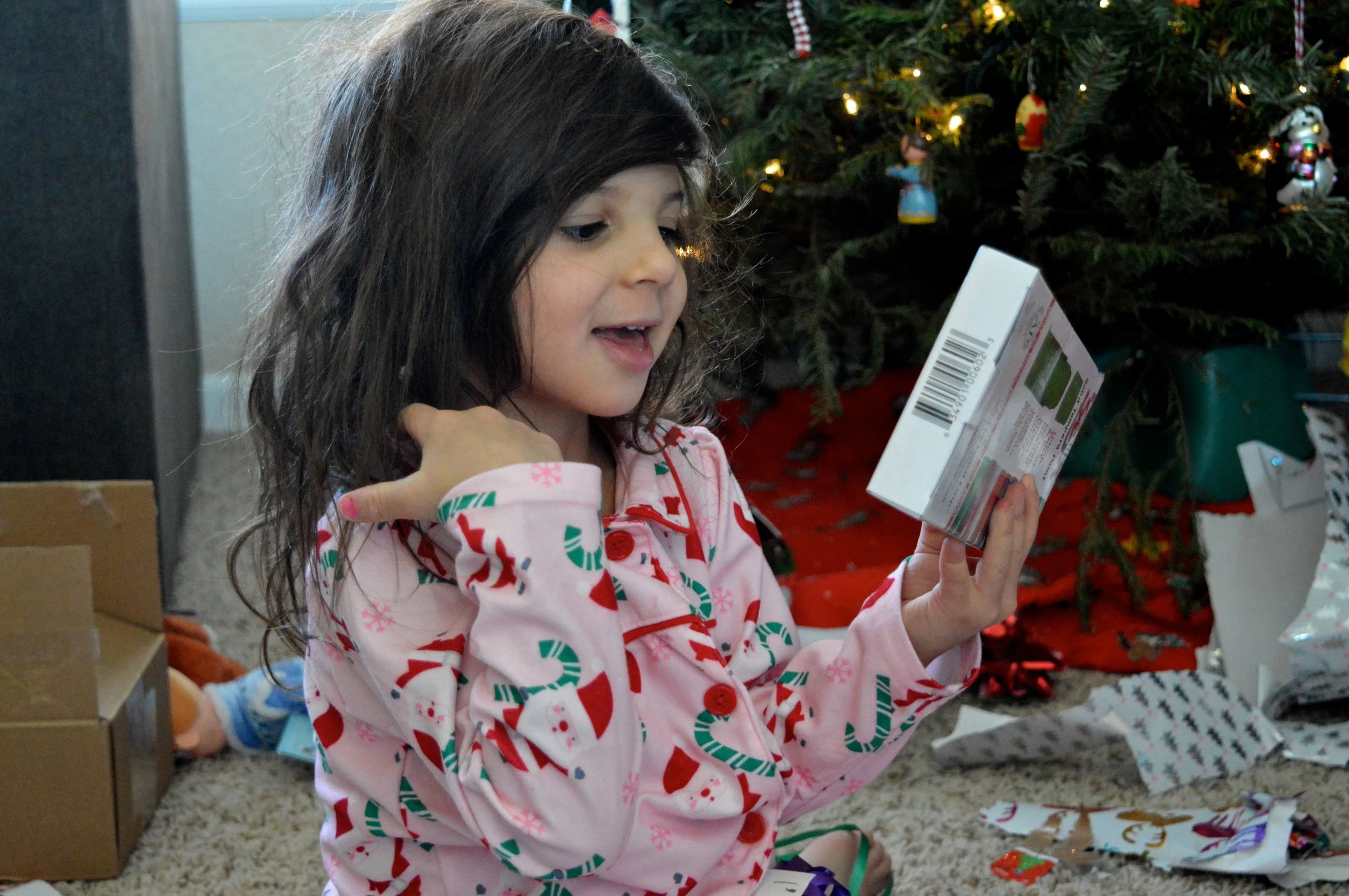 Christmas 2017 59.jpg
