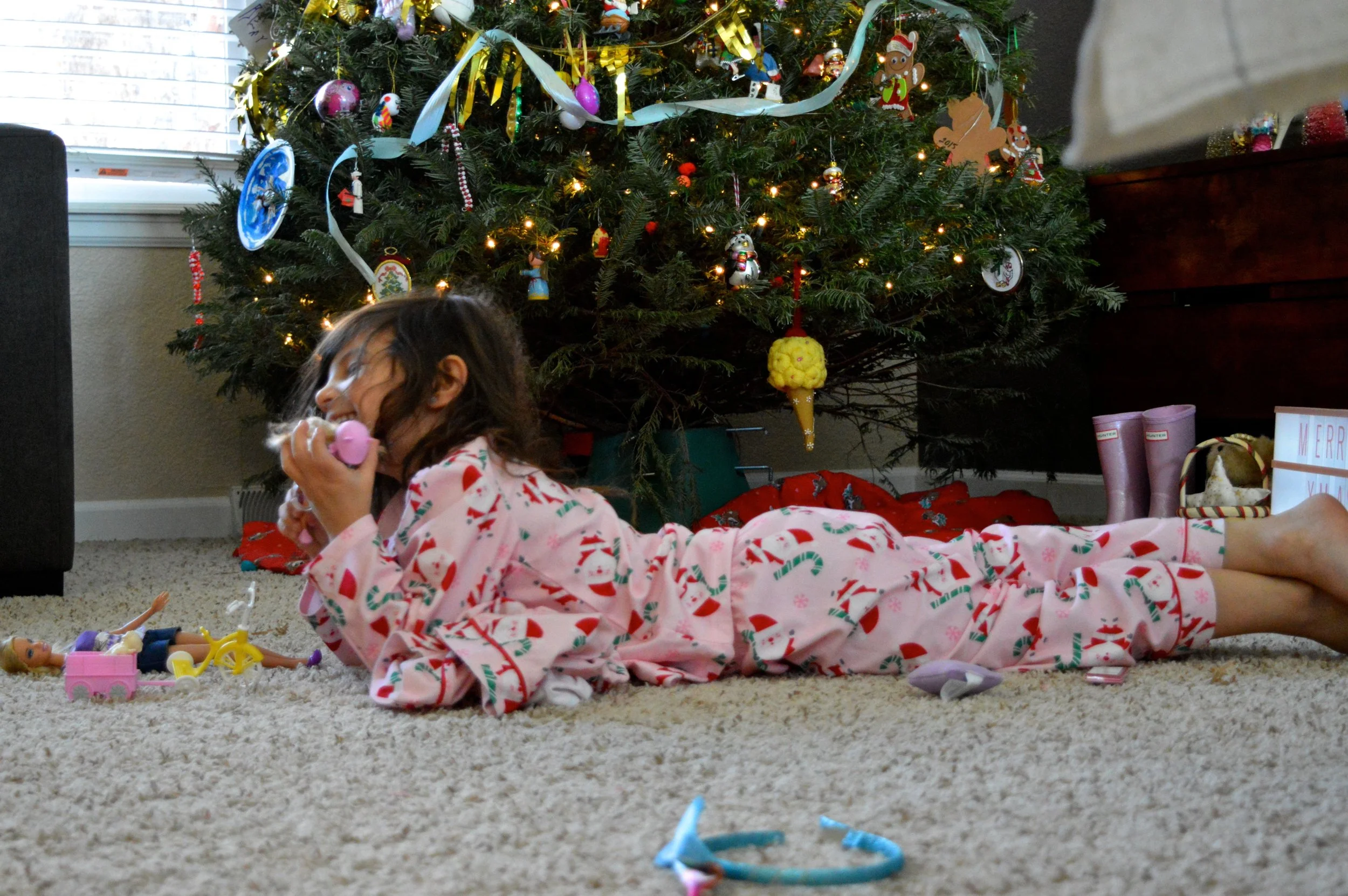 Christmas 2017 81.jpg