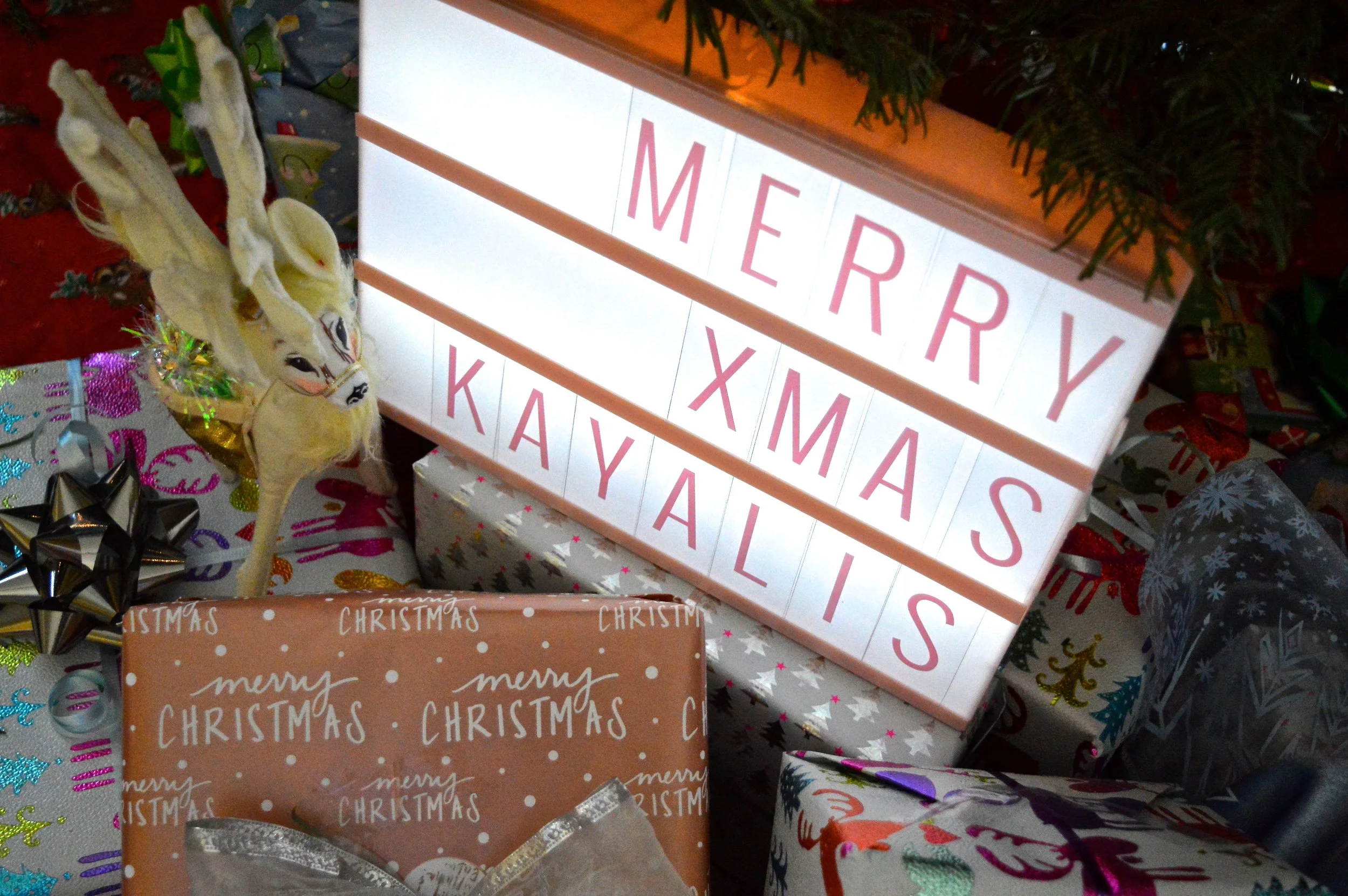 Christmas Came!