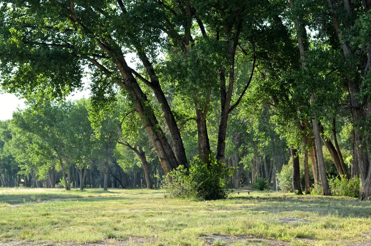 Gunnison River 42.jpg