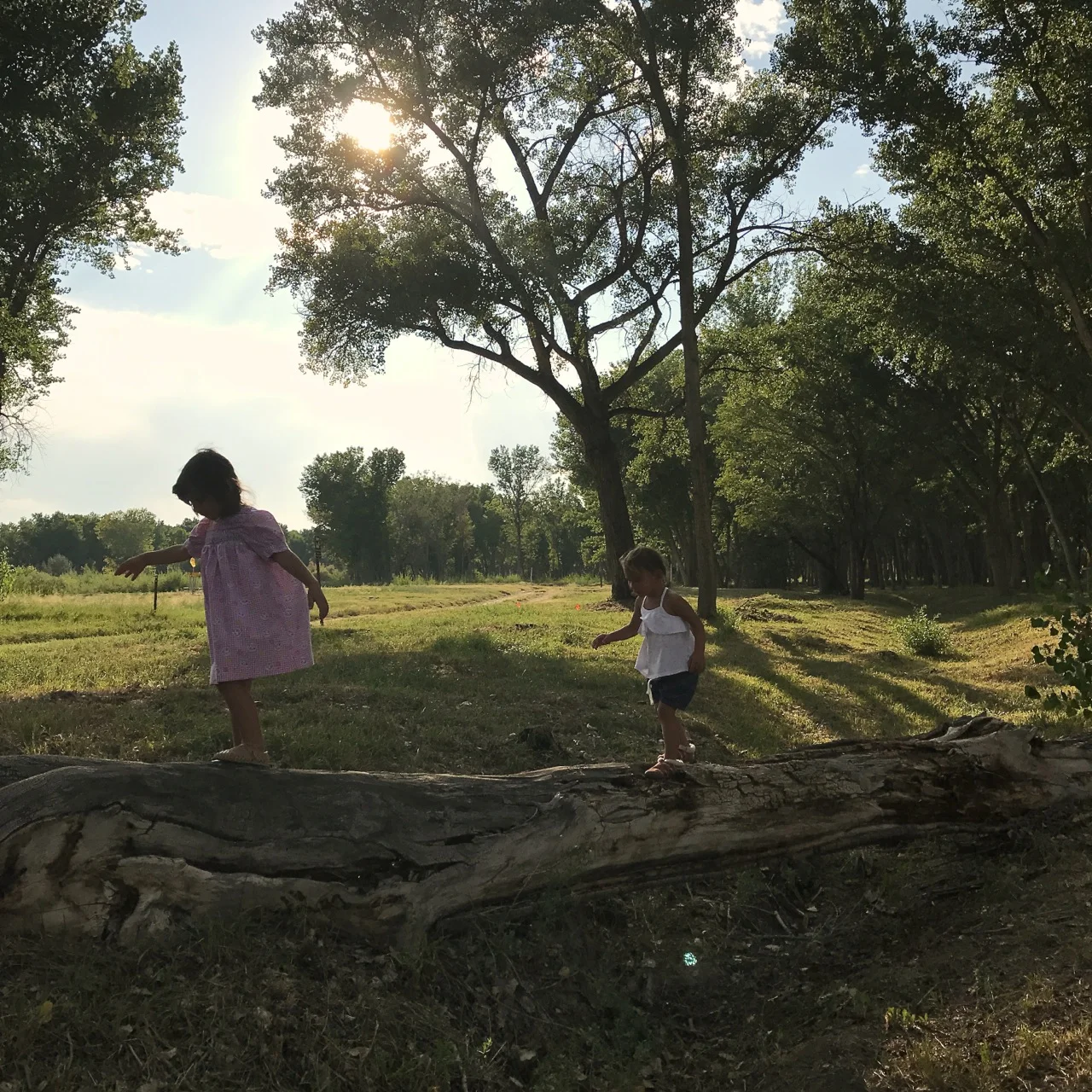 Routines and Resolutions for Toddlers