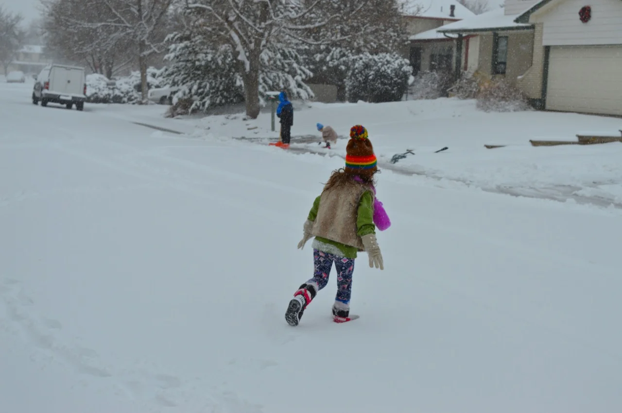 Snow in Colorado 9.jpg