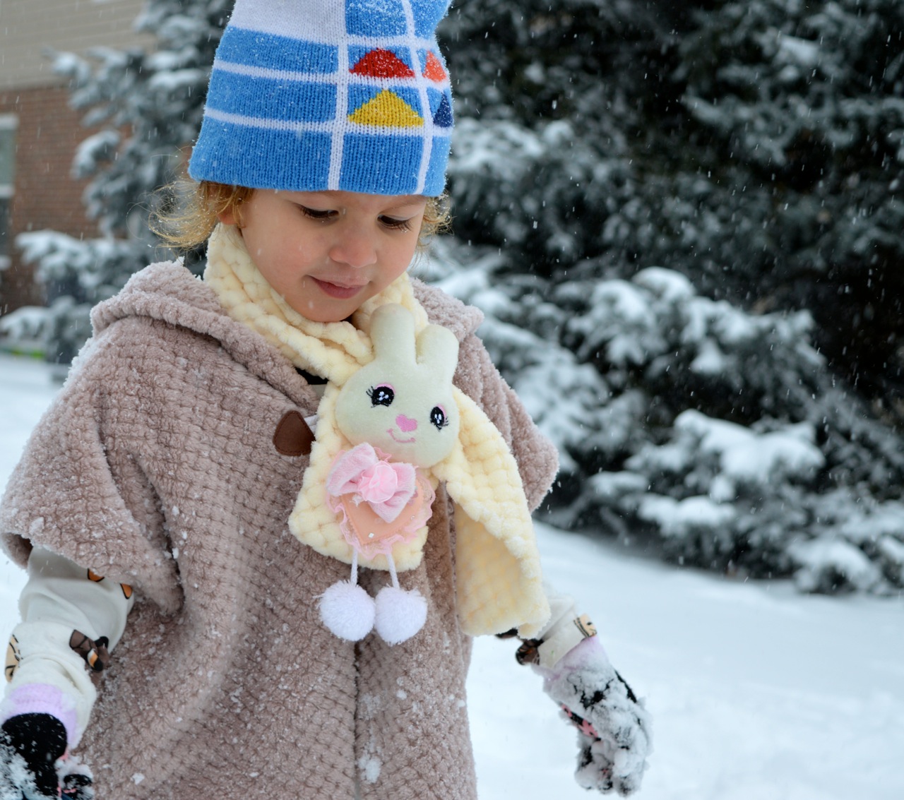 Snow in Colorado 16.jpg