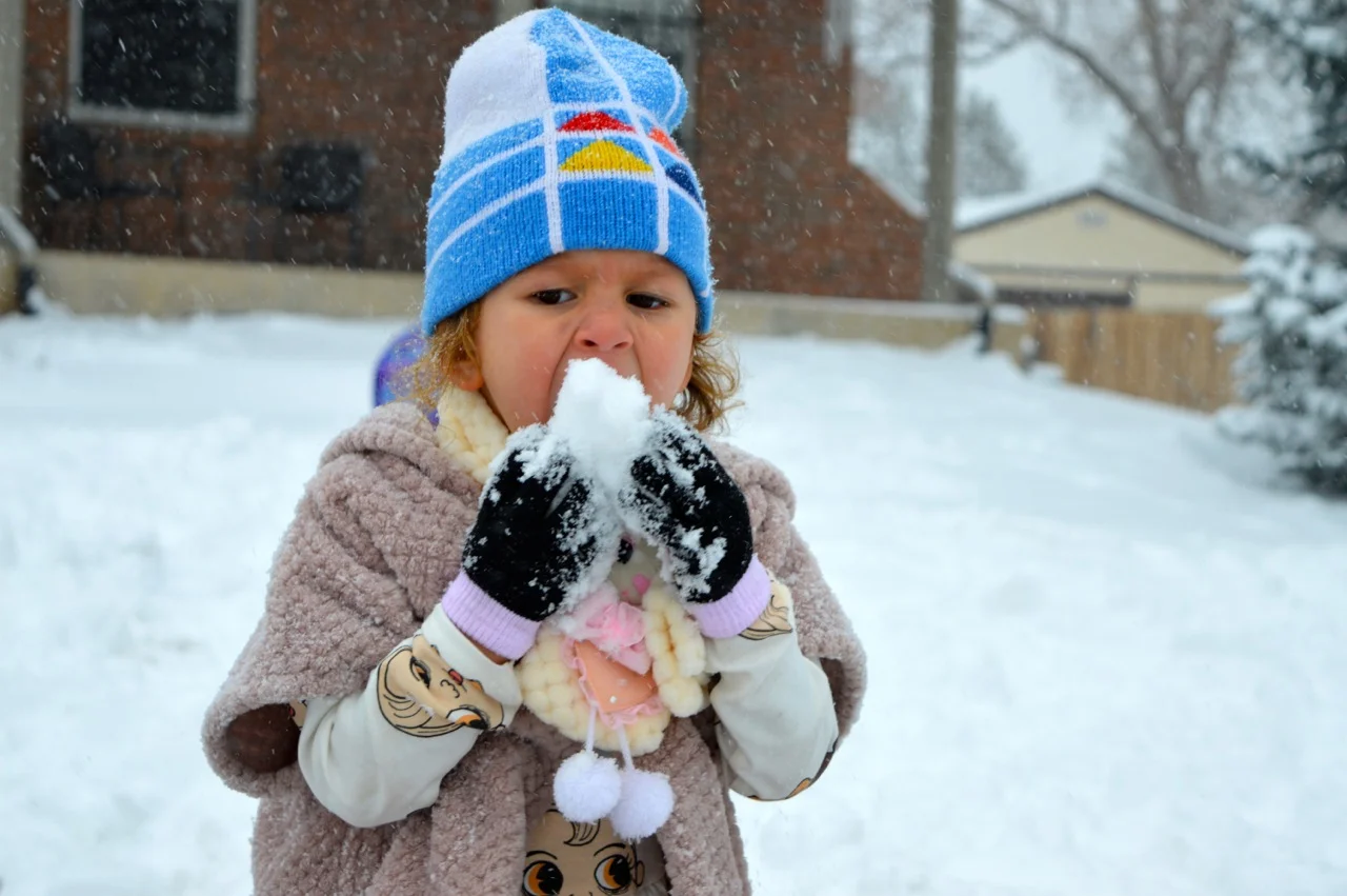 Snow in Colorado 26.jpg