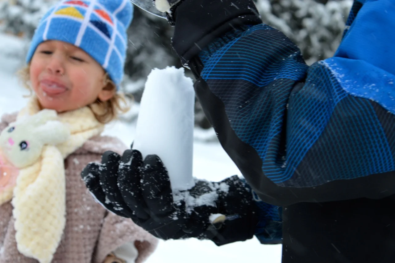 Snow in Colorado 30.jpg