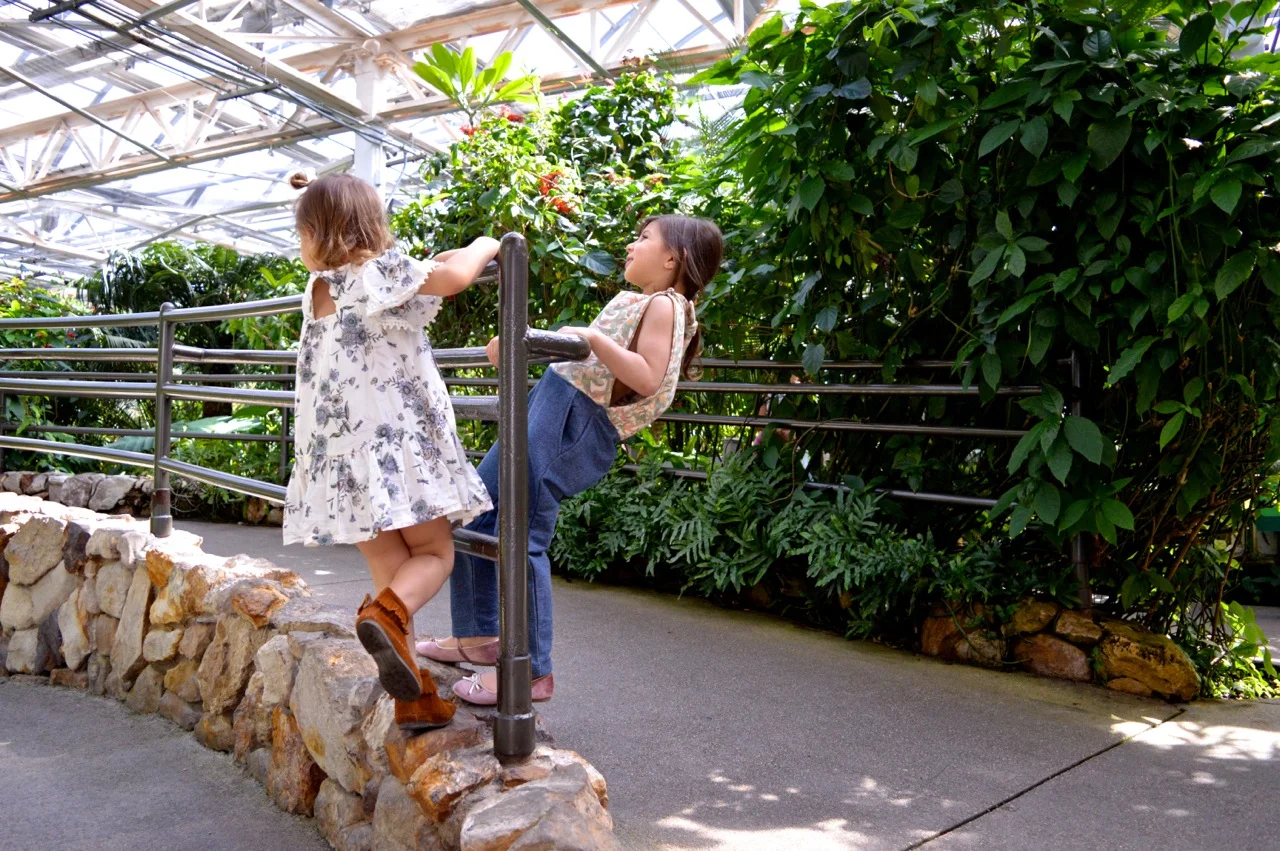 Butterfly Pavilion Westminster Colorado Spring 2018 29.jpg