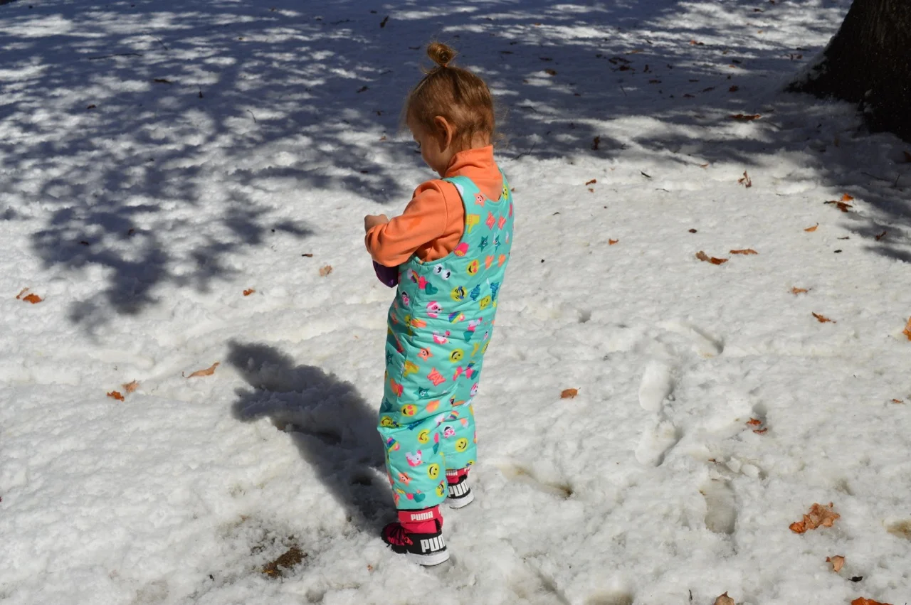 March snow 1.jpg