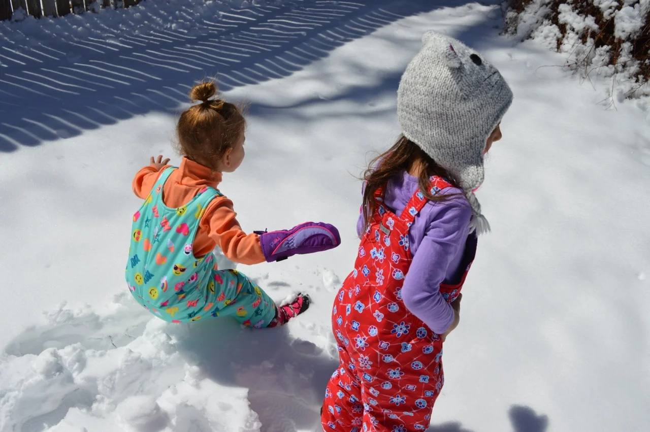 March snow 3.jpg