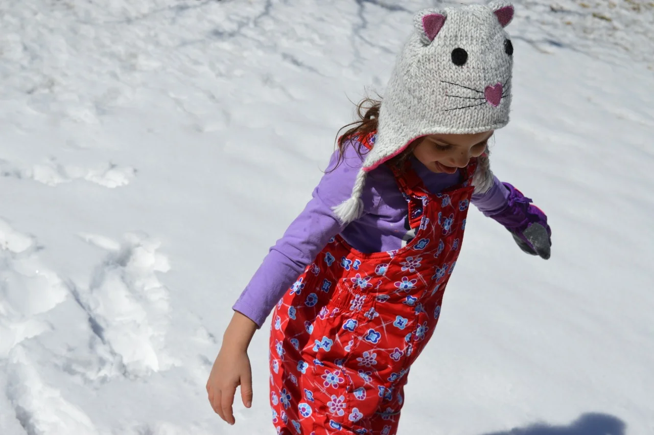 March snow 6.jpg