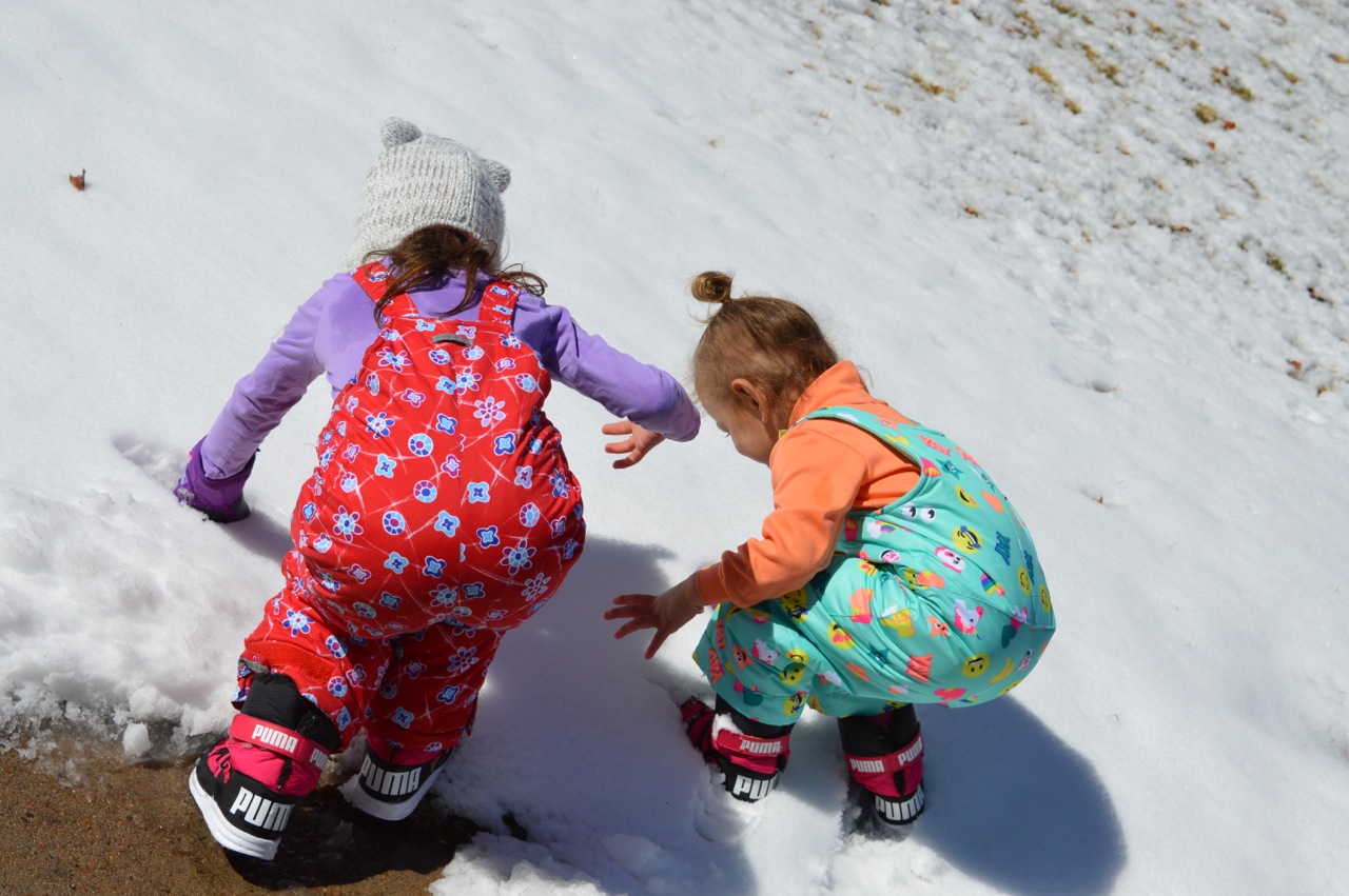 March snow 8.jpg
