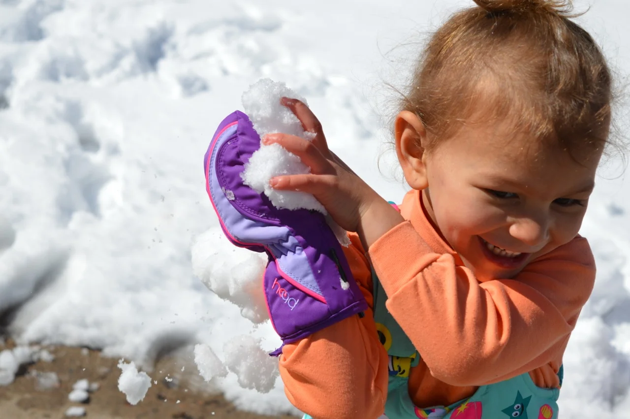 March snow 15.jpg