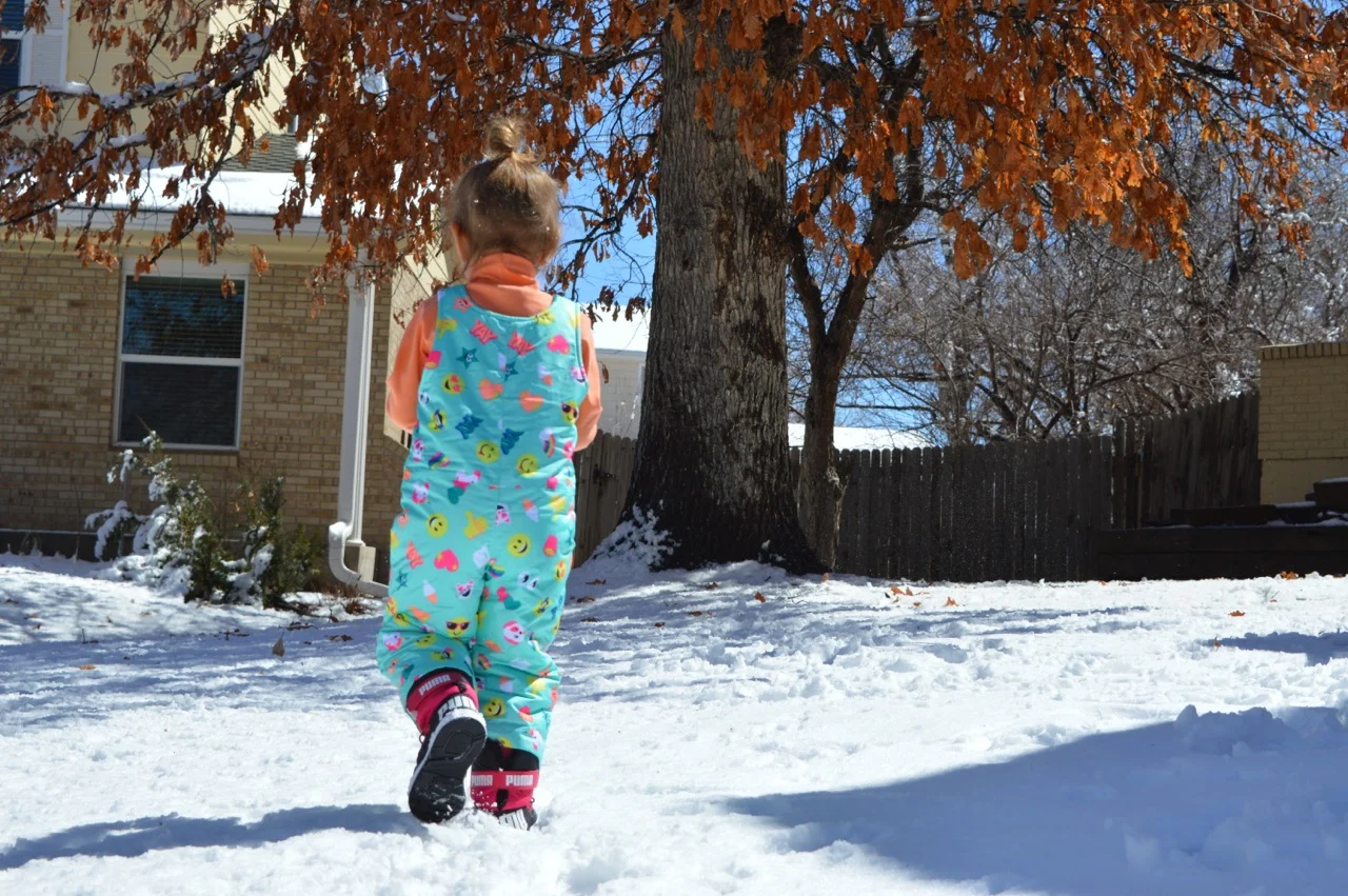 March snow 16.jpg