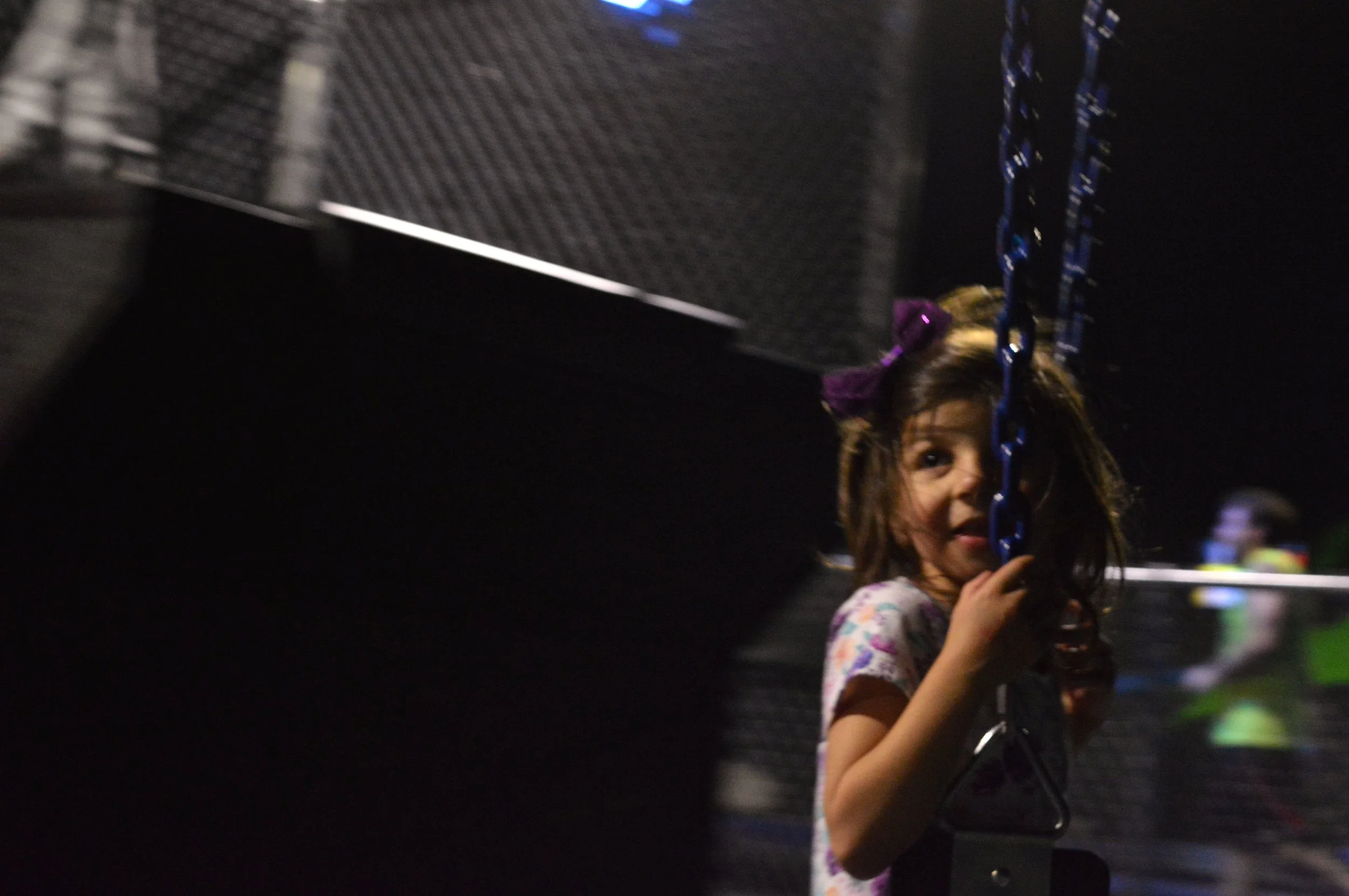 Spider Monkey Birthday Swings.jpg