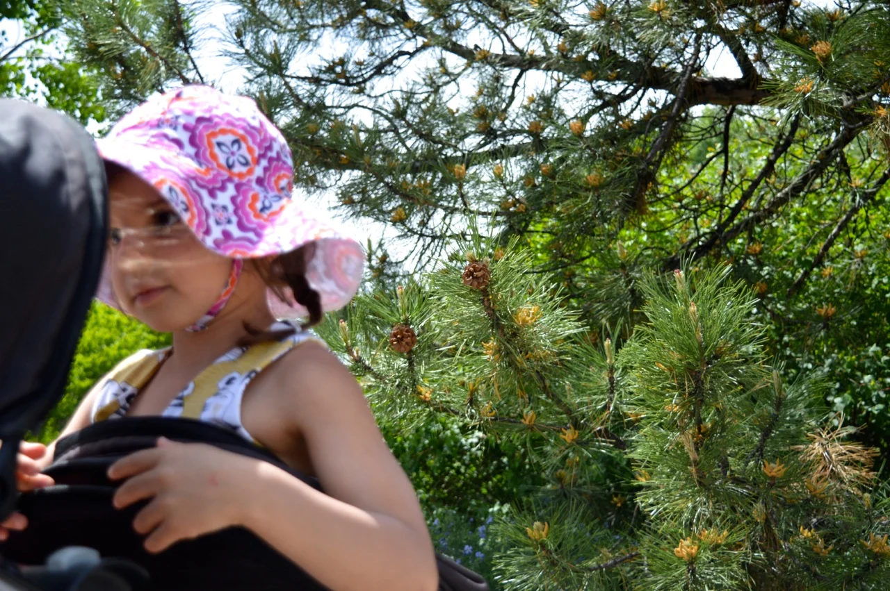 Denver Botanic Gardens 9.jpg