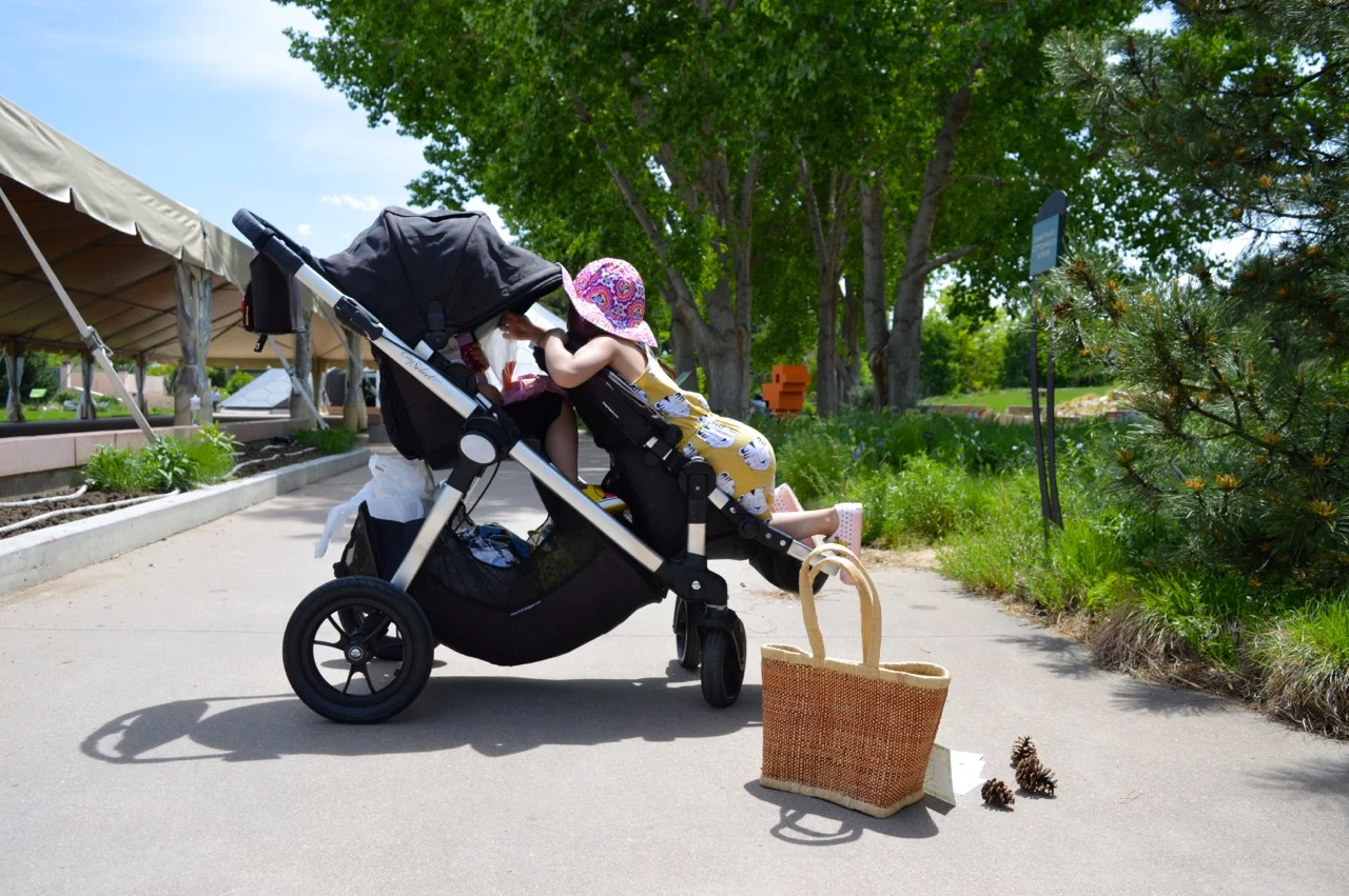 Denver Botanic Gardens 10.jpg